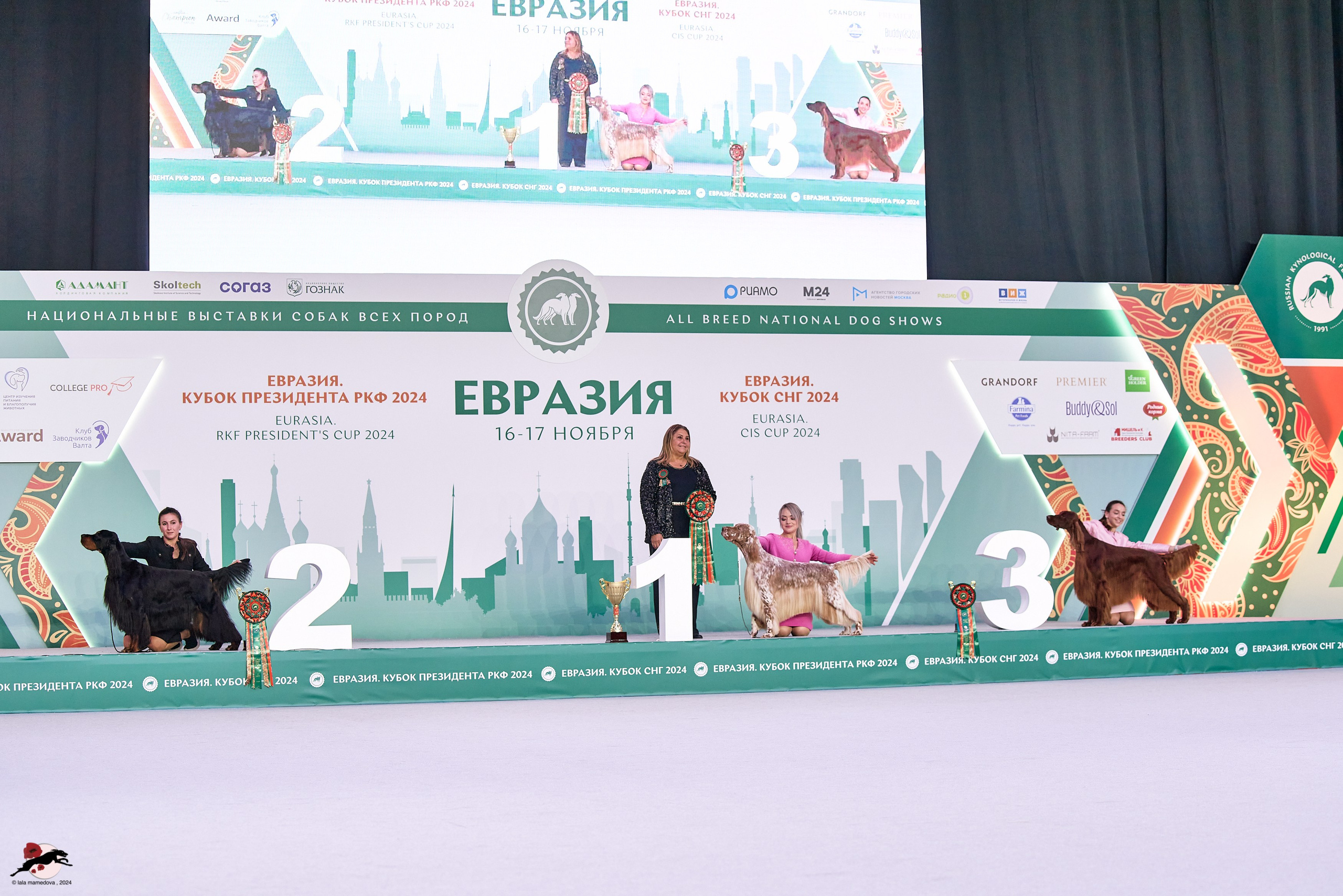 17.11.2024 «ЕВРАЗИЯ. КУБОК СНГ 2024»