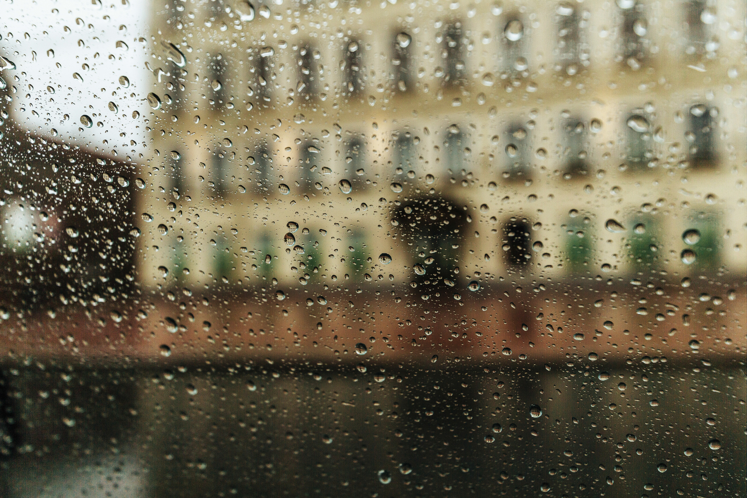 Грубияны. Летний дождь и коты свидетели. Портфолио свадебного фотографа. Роман Каргаполов