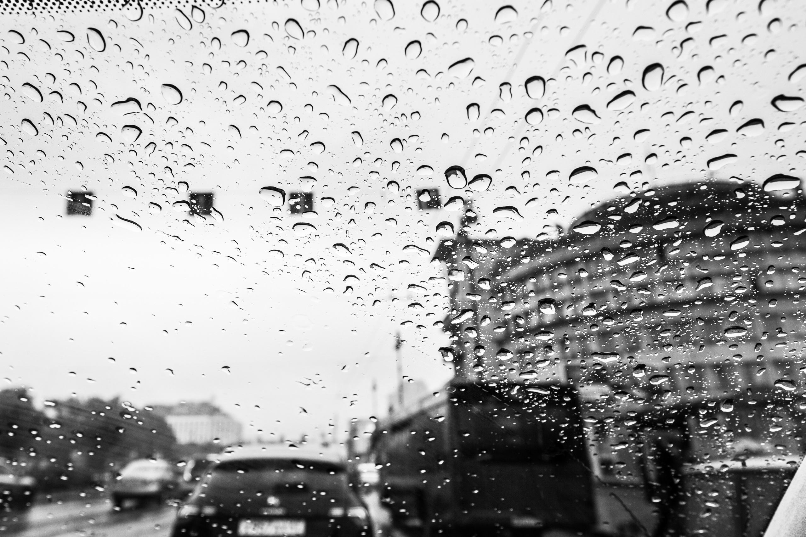 Грубияны. Летний дождь и коты свидетели. Портфолио свадебного фотографа. Роман Каргаполов