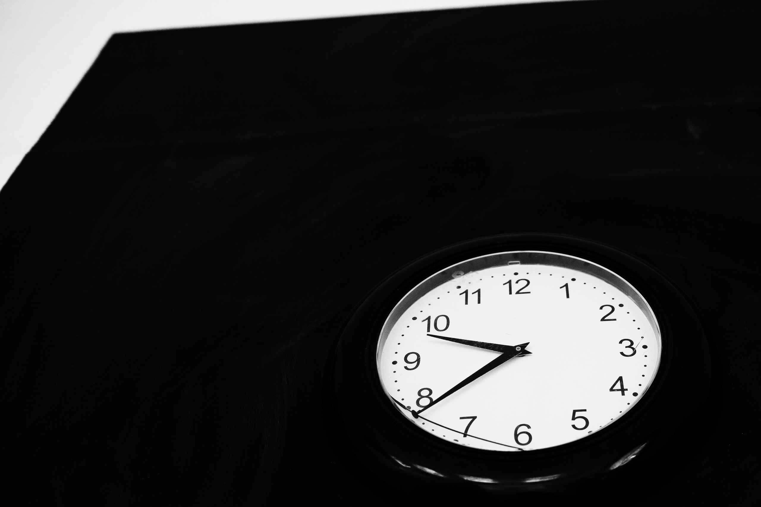 Грубияны. Летний дождь и коты свидетели. Портфолио свадебного фотографа. Роман Каргаполов