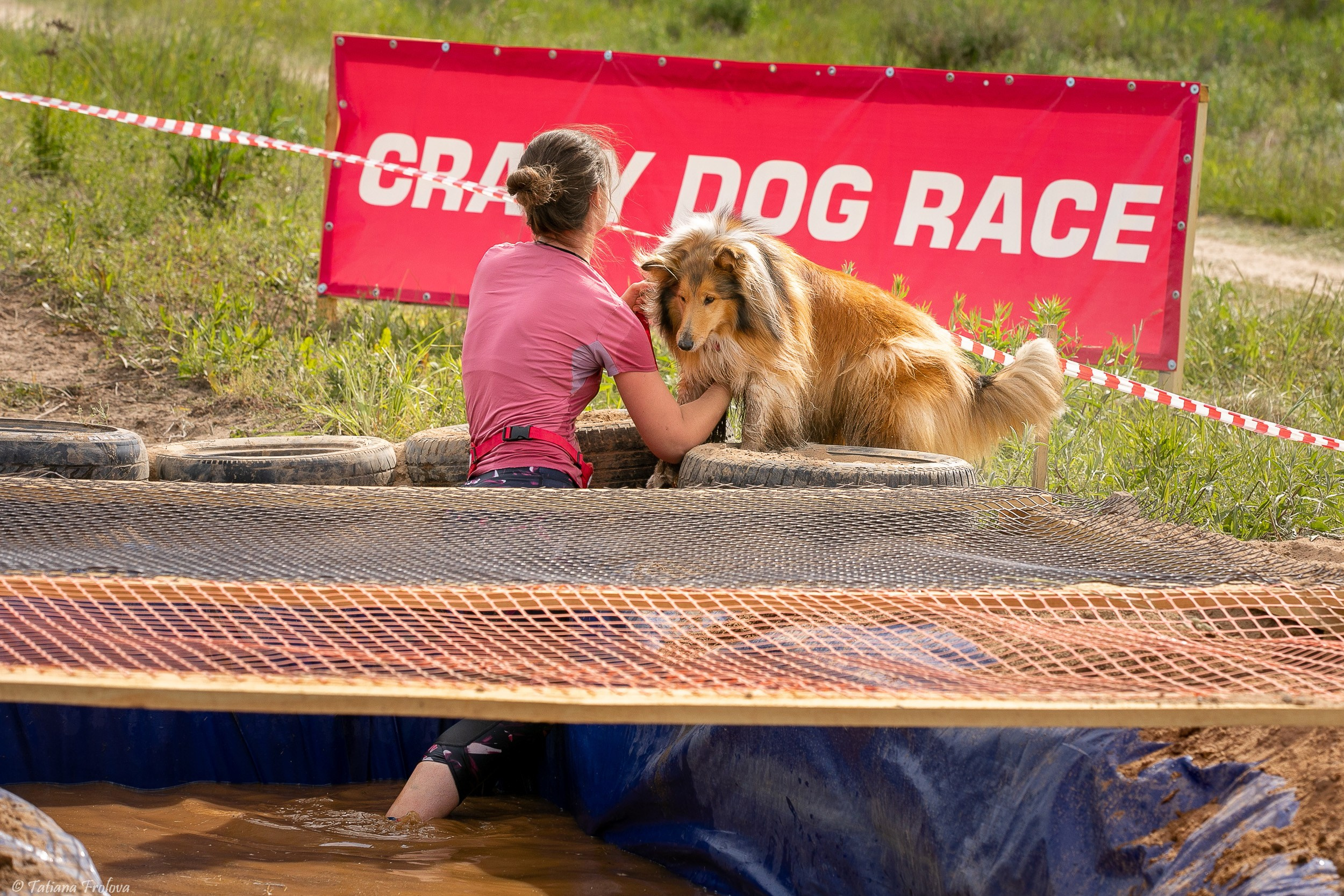 Фоторепортаж с забега с собаками. Фотограф-анималист в Москве и Московской области Татьяна Фролова