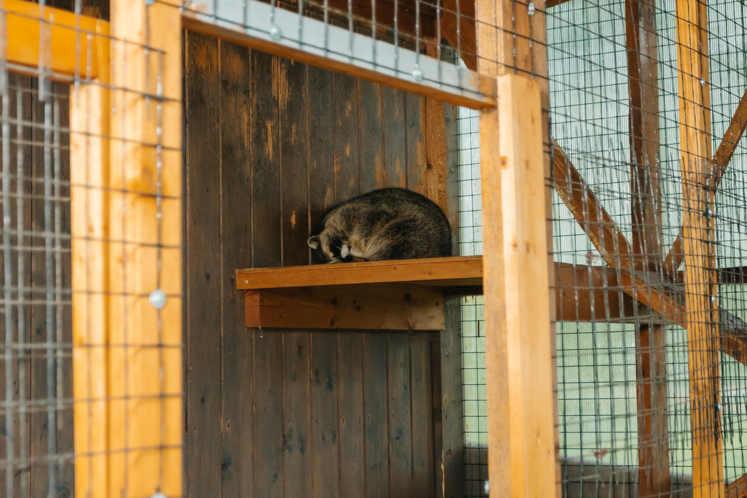 День рождения Марка. Андрей Партнов — фотогрраф, Москва