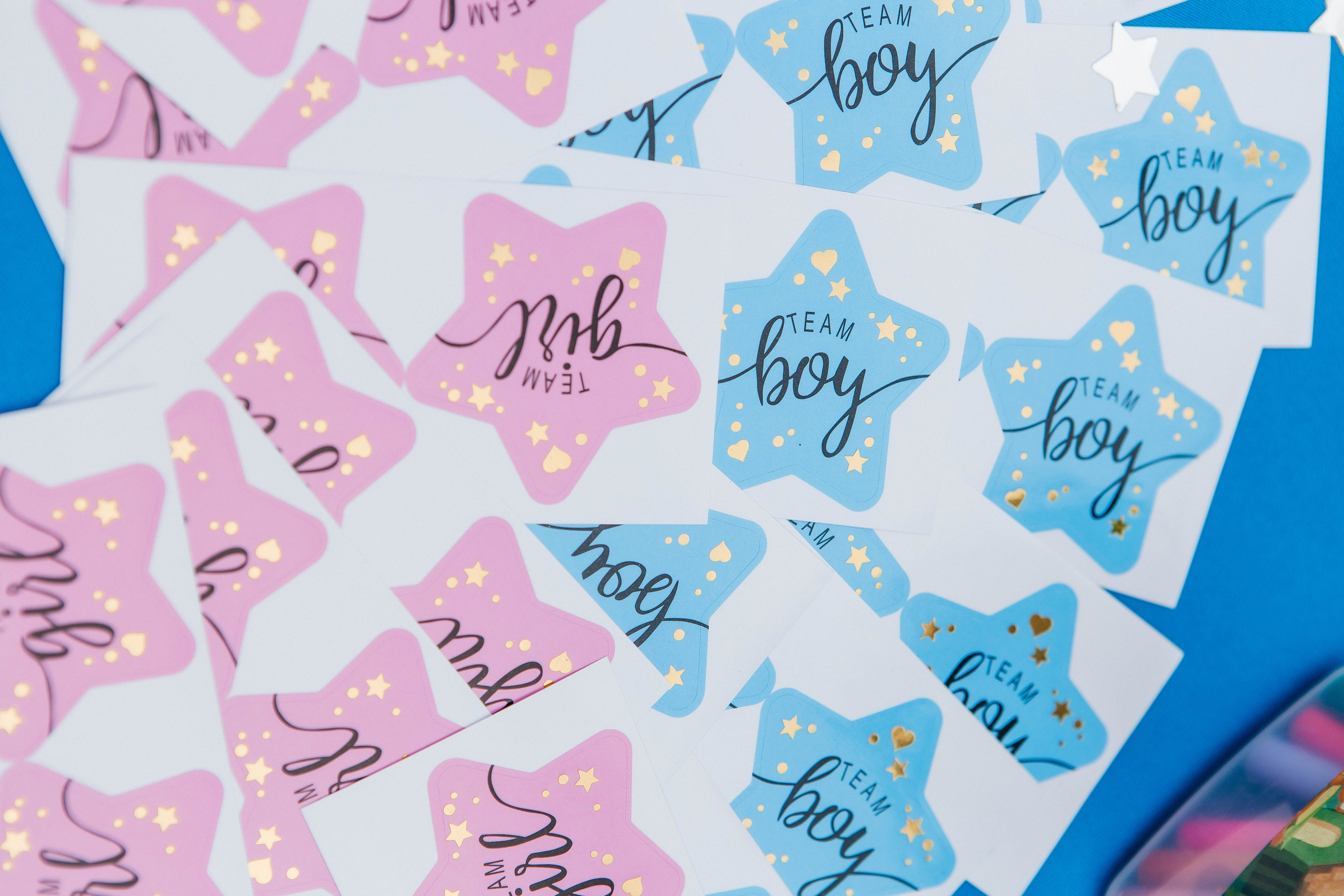 GENDER PARTY. Фотограф Абакумова Анастасия