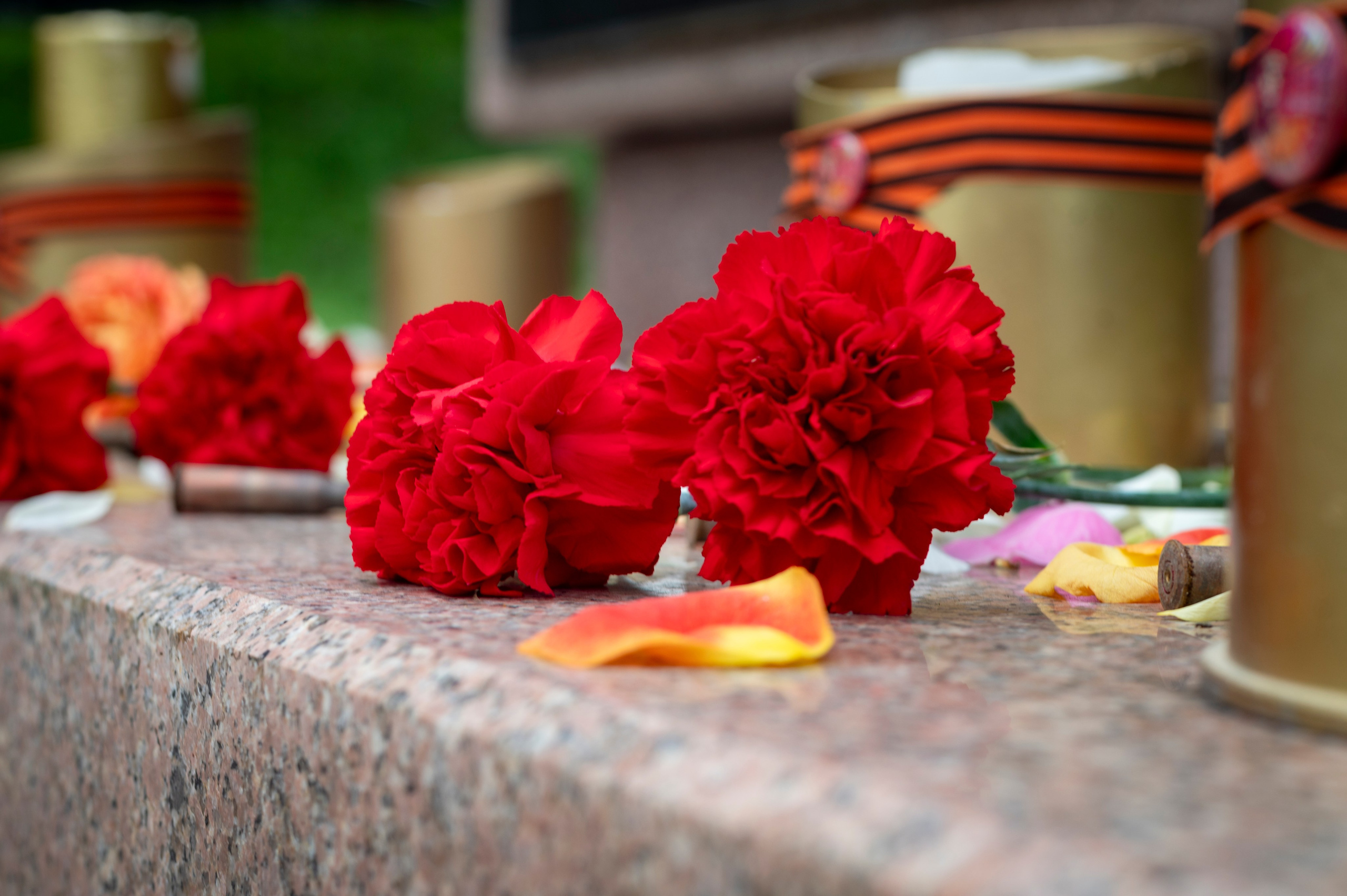 Авторская серия фотографа Романа Адлера «Ради Жизни». Фотограф Роман Адлер