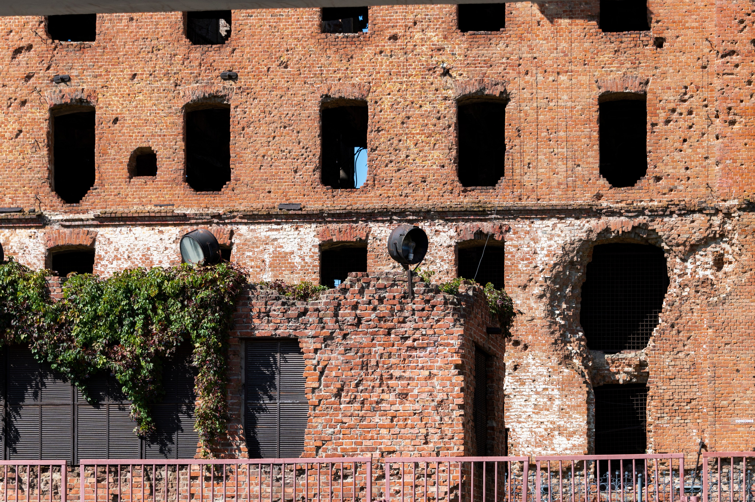 Волгоград. Сентябрь 2023. Фотограф Роман Адлер