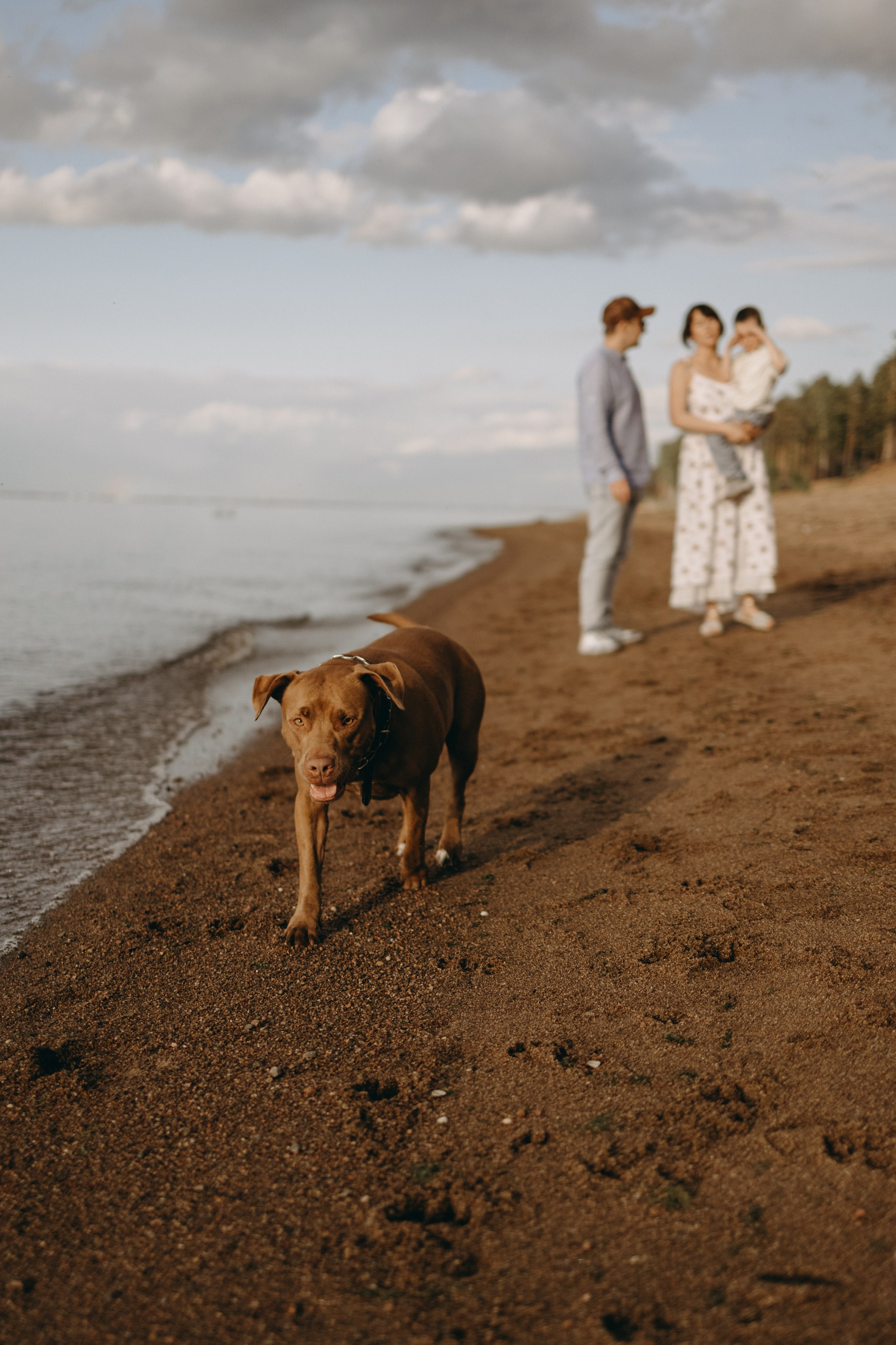 Бонни и ее семья. Фотограф — Анималист | Санкт-Петербург