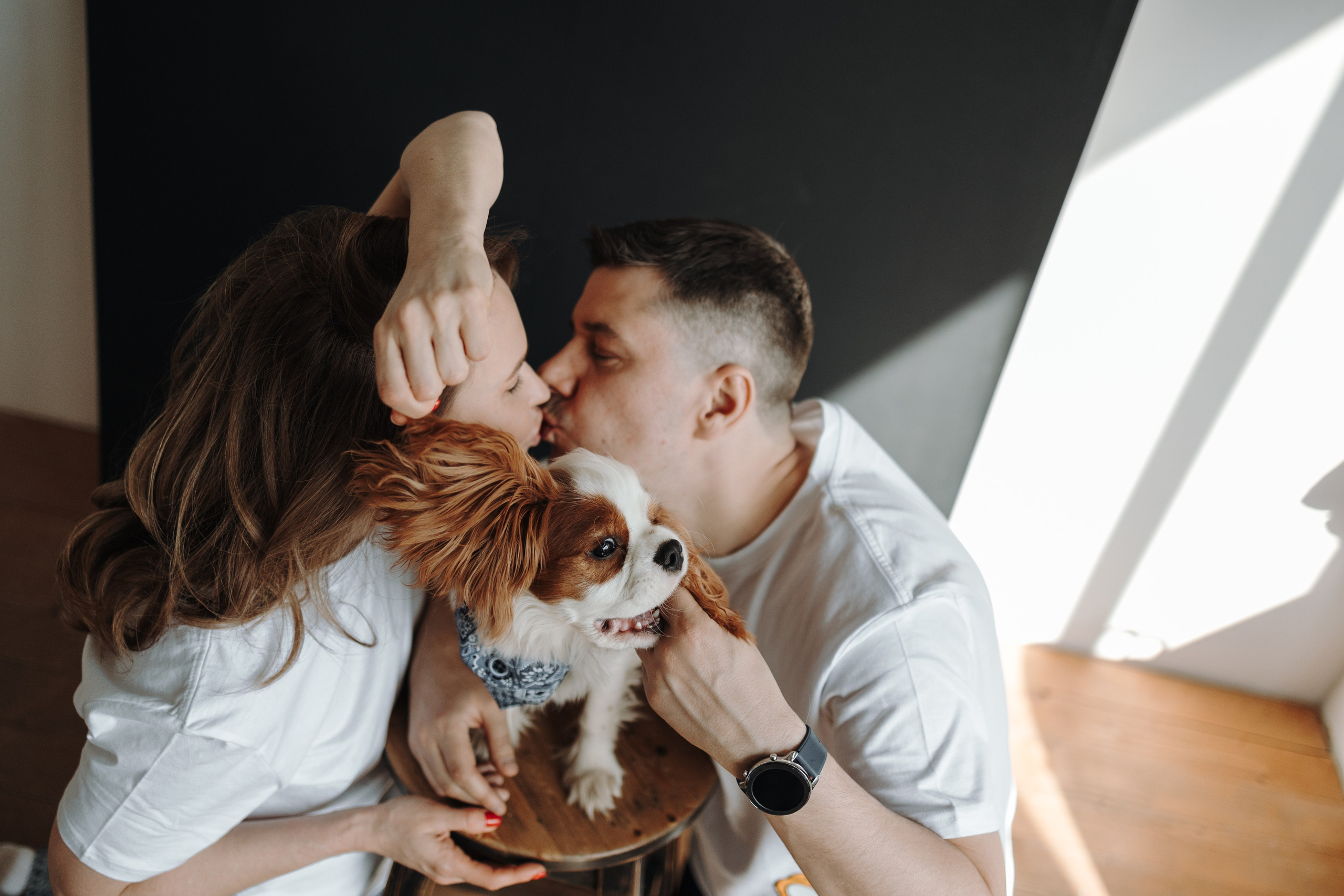 Плуто и его семья. Фотограф — Анималист | Санкт-Петербург