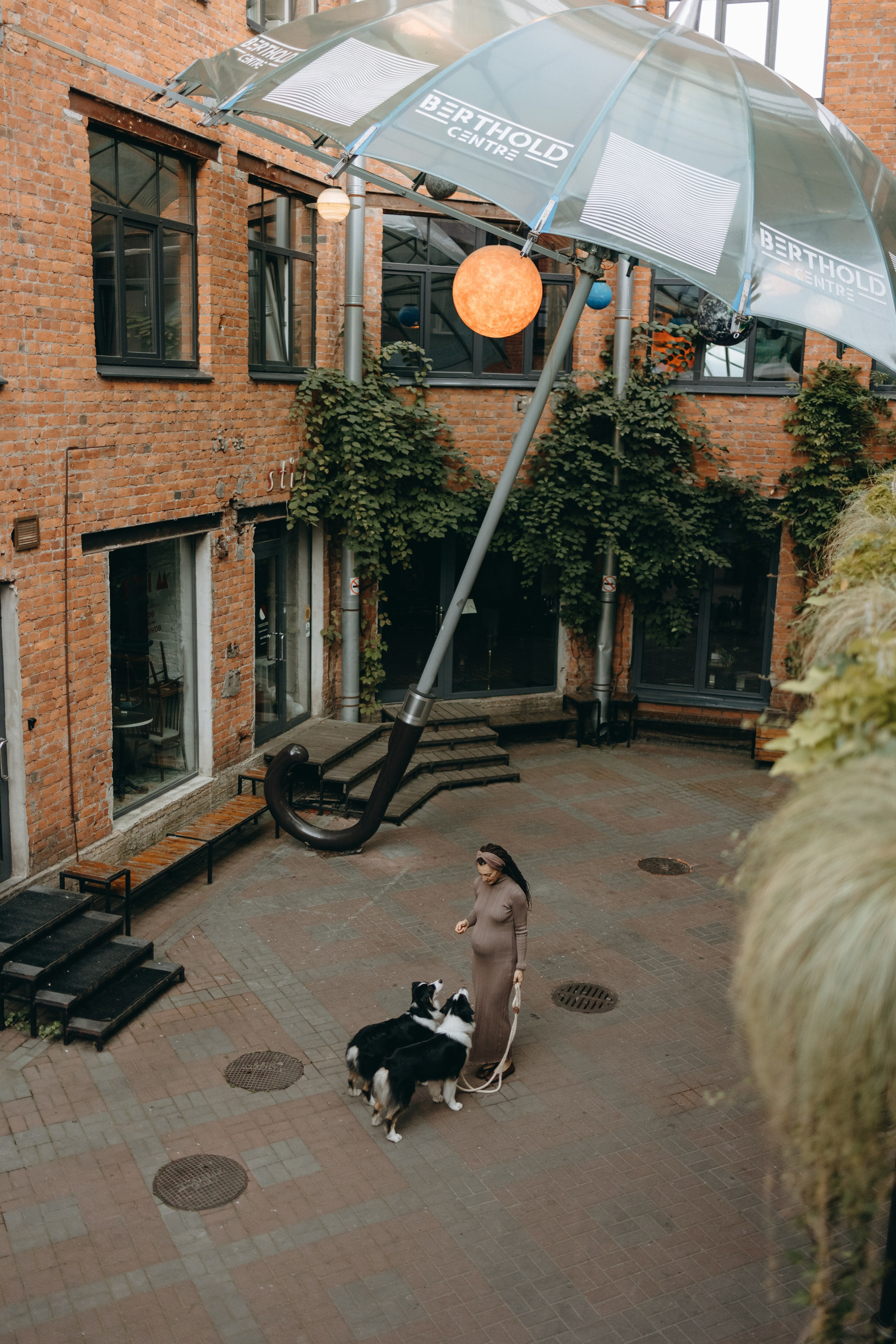 Катя и ее девочки. Фотограф — Анималист | Санкт-Петербург