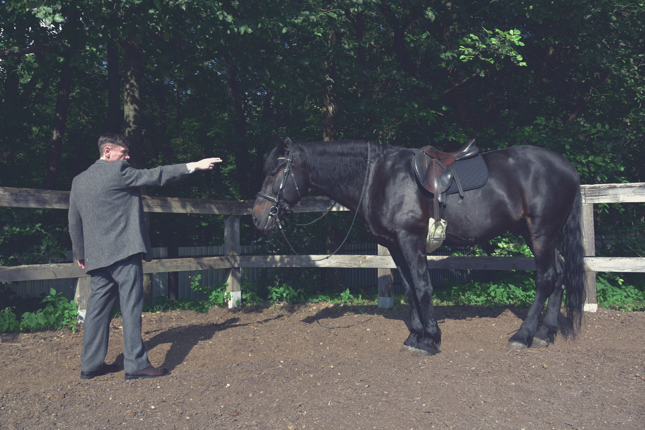 Рафаэль и Султан. Peaky Blinders. Конный фотограф Москва