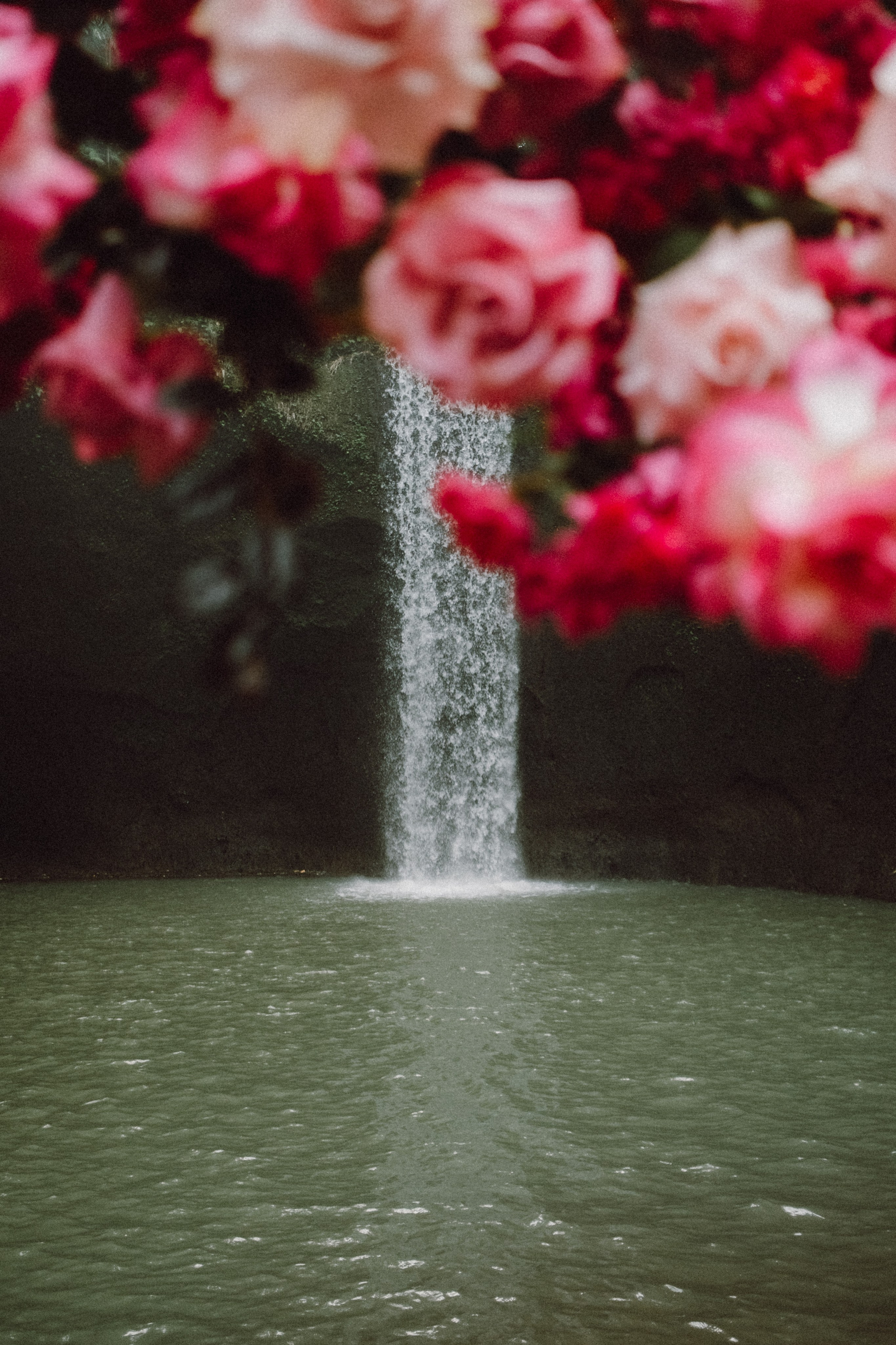 Briana and Tom. Фотограф Бали