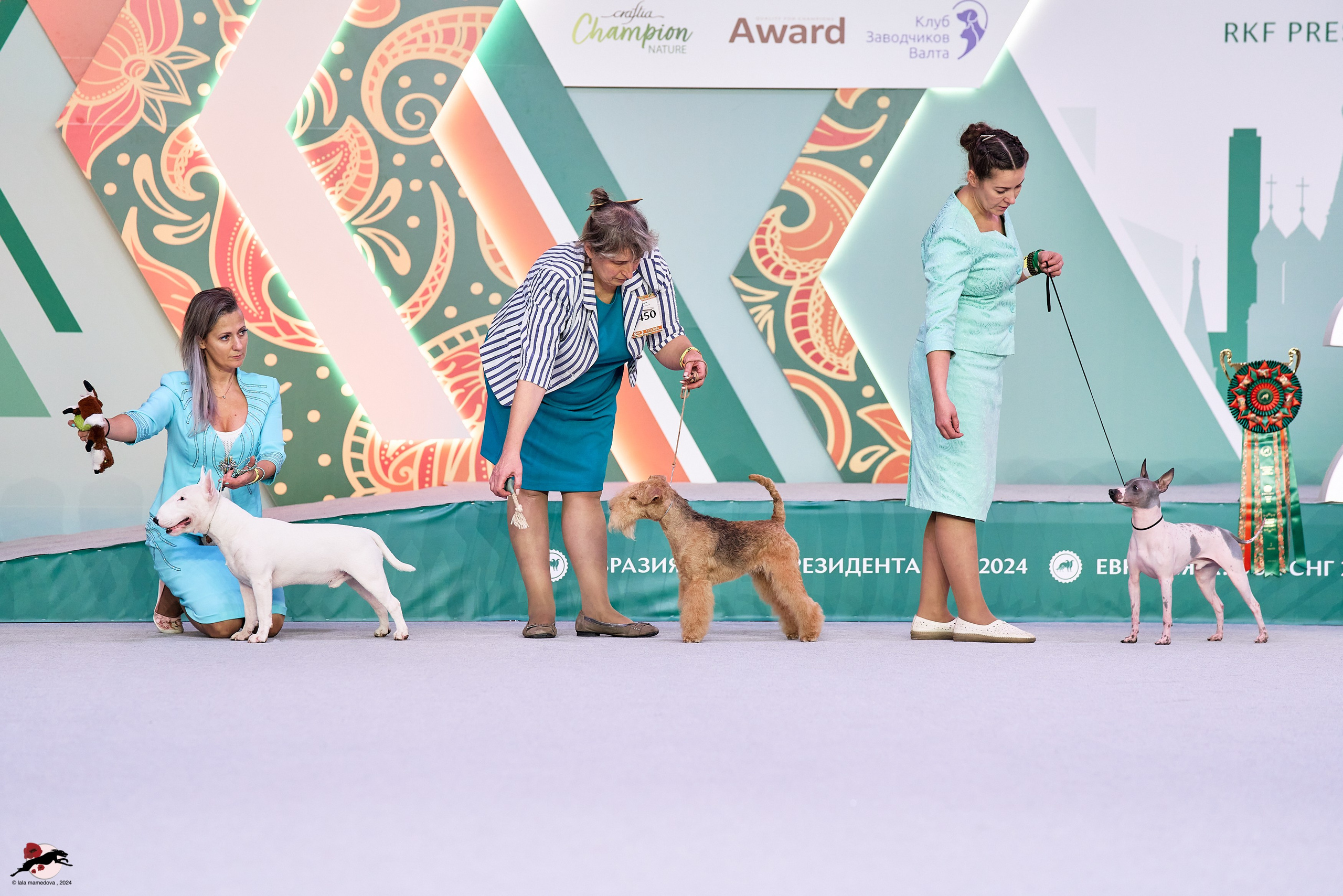 17.11.2024 «ЕВРАЗИЯ. КУБОК СНГ 2024»