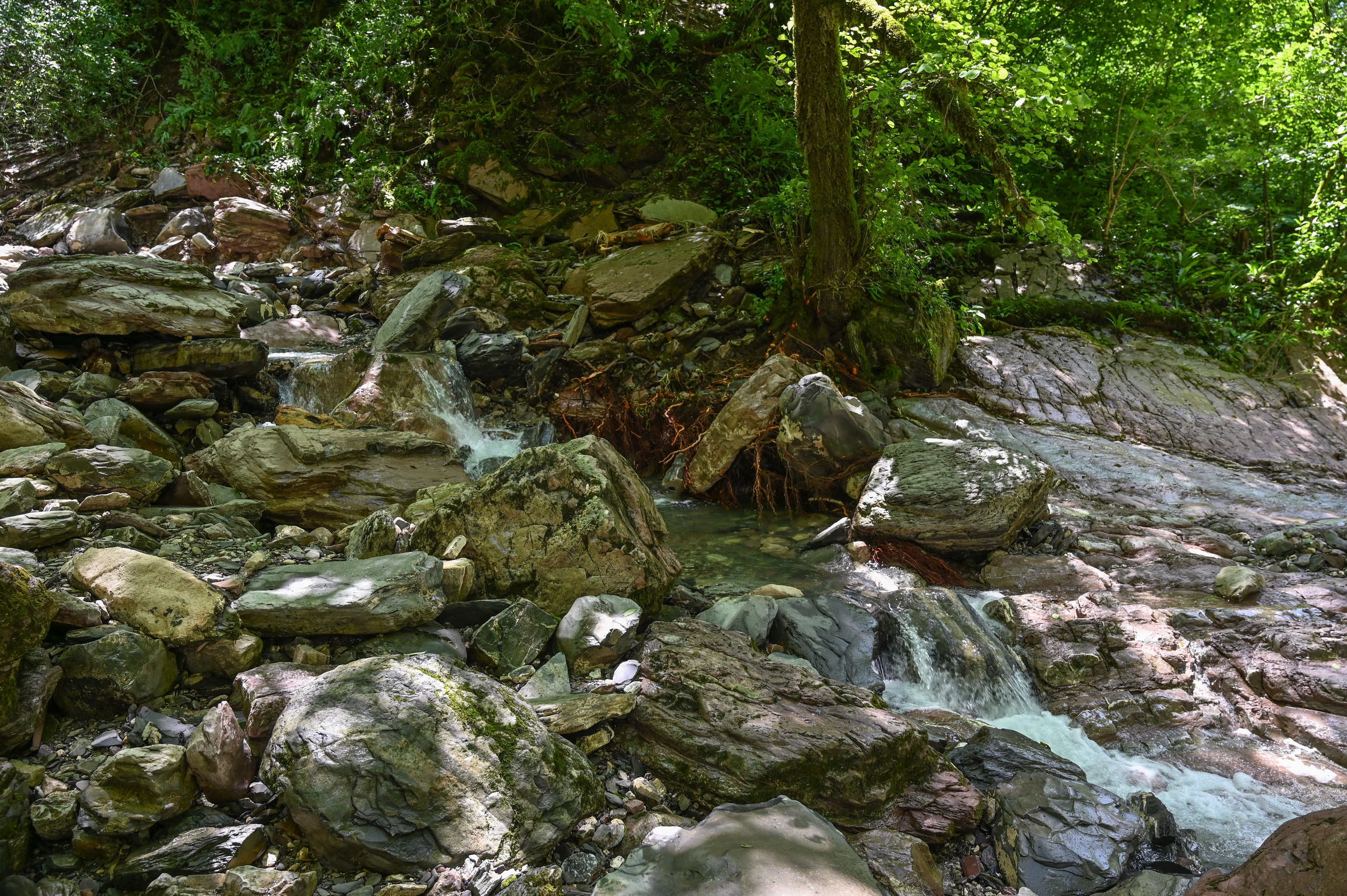 «Спортивно-адаптивный центр «Орто-Спорт» горный туризм. Фотографирую счастливых людей в Сочи