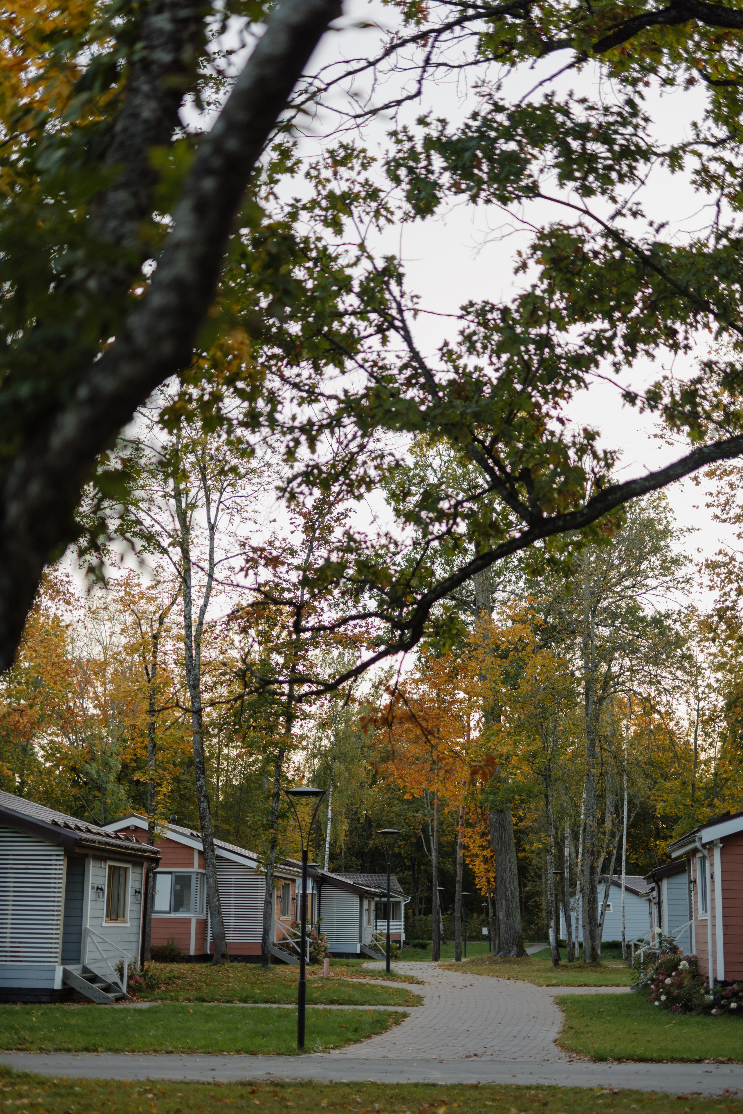 Карина и сын. Свадебный и портретный фотограф в Москве, Туле и Брянске Дара Евсеева