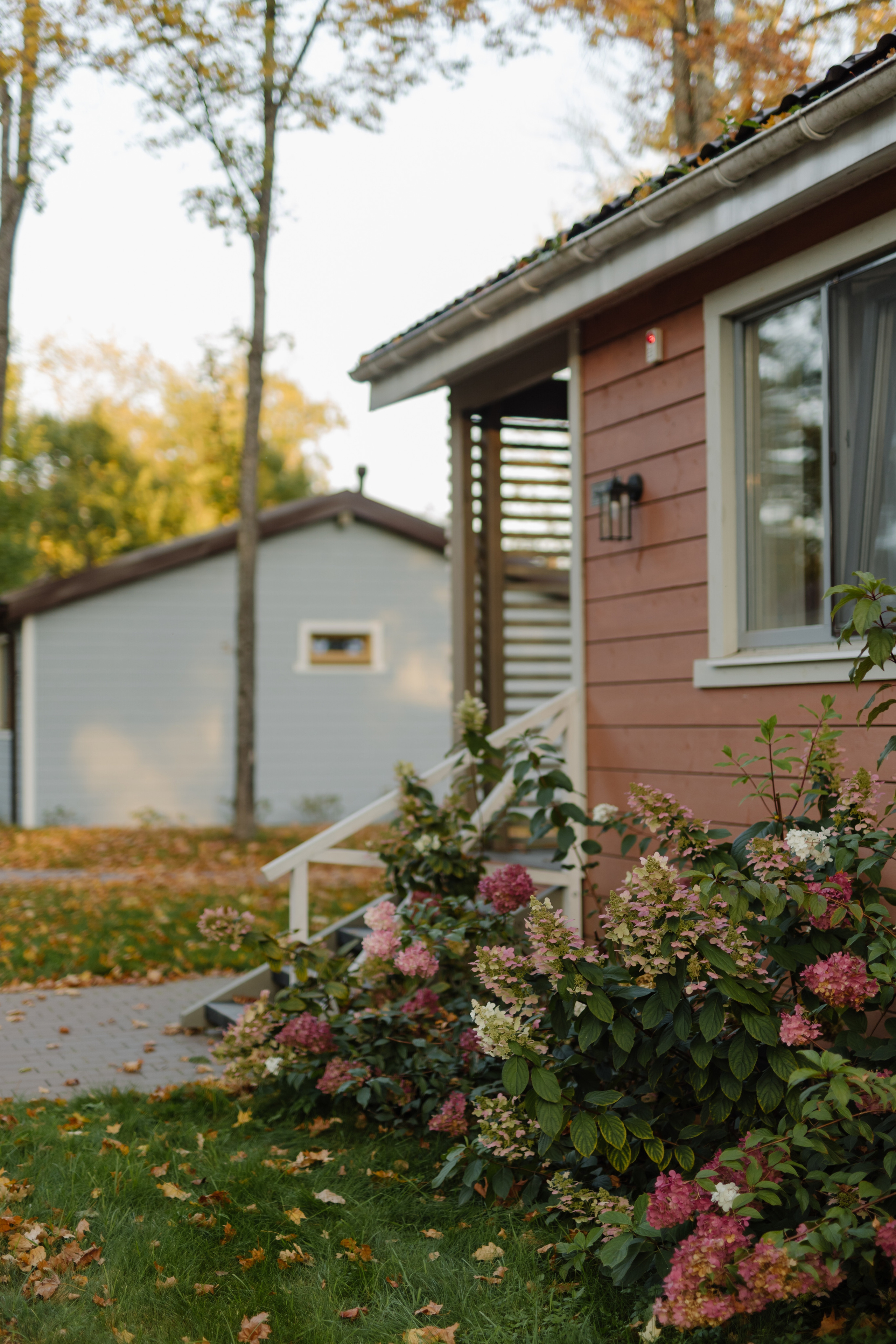 Карина и сын. Свадебный и портретный фотограф в Москве, Туле и Брянске Дара Евсеева