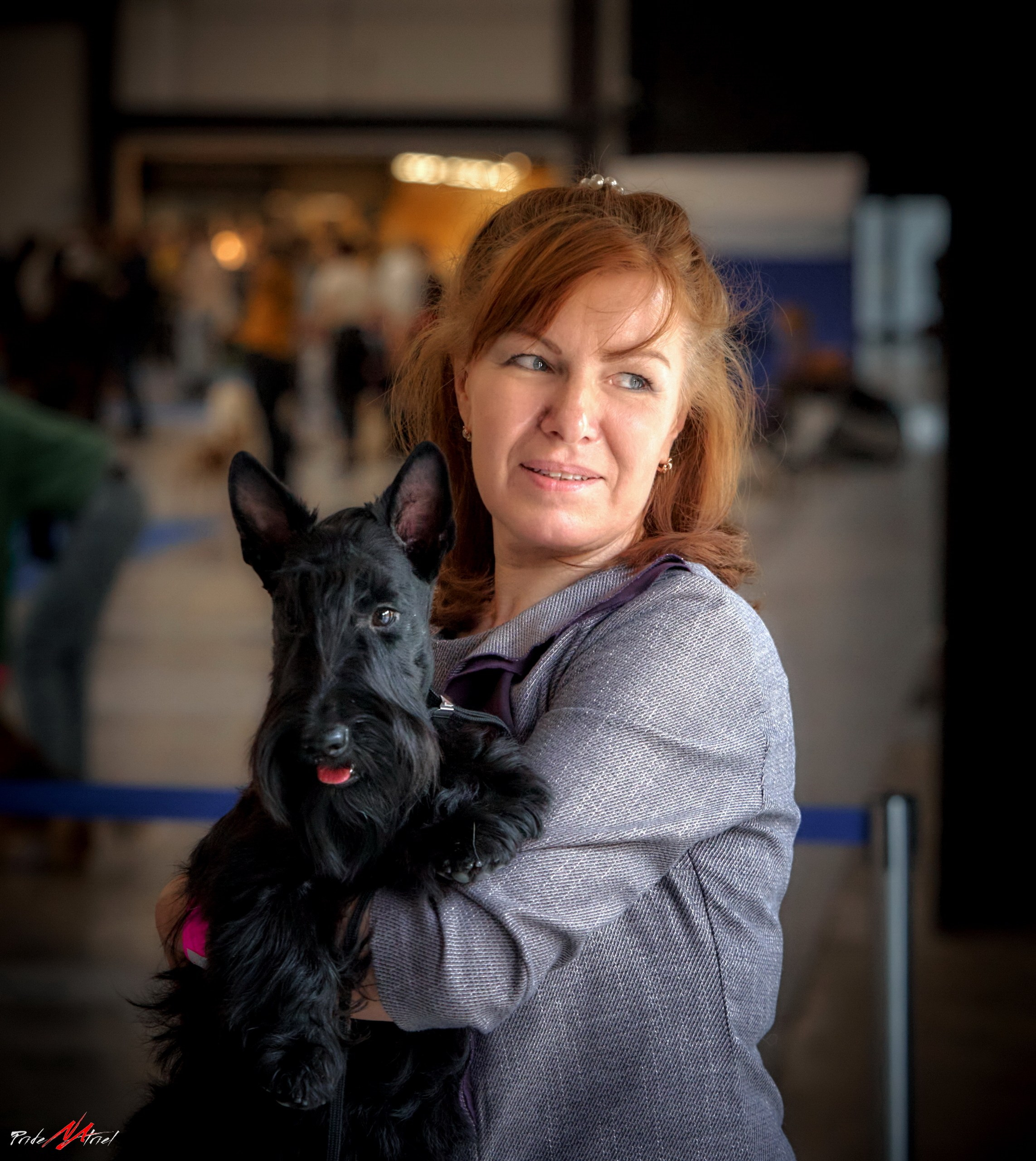 Собаки и Люди — галерея NATRIEL