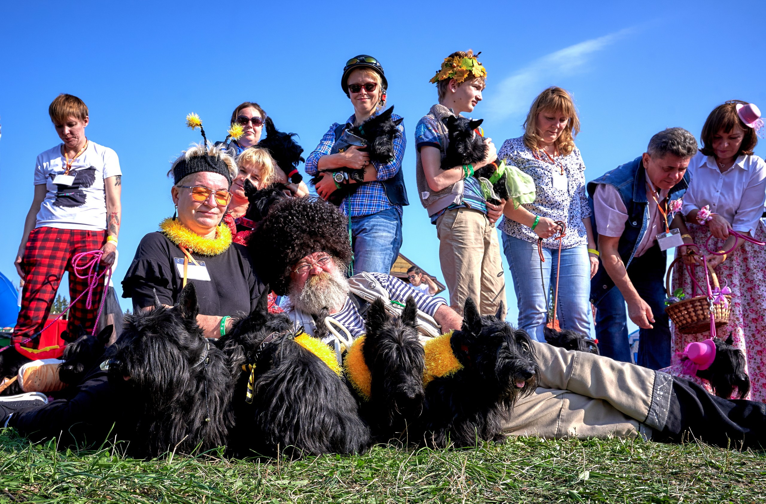 Мероприятия с собаками — галерея NATRIEL