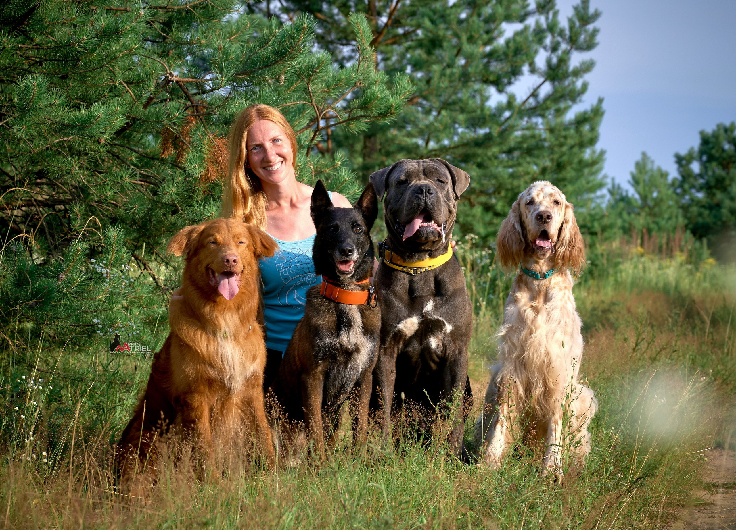 Собаки и Люди — галерея NATRIEL