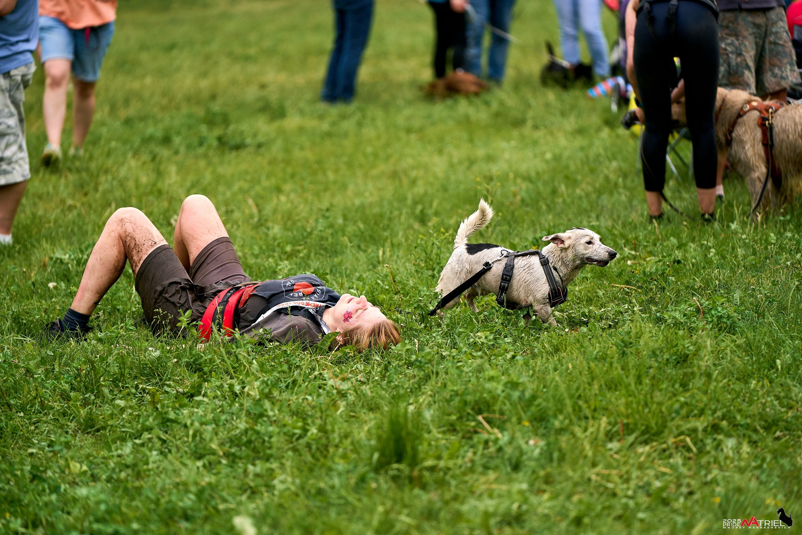 Russian Extreme Dog Trail — 2025