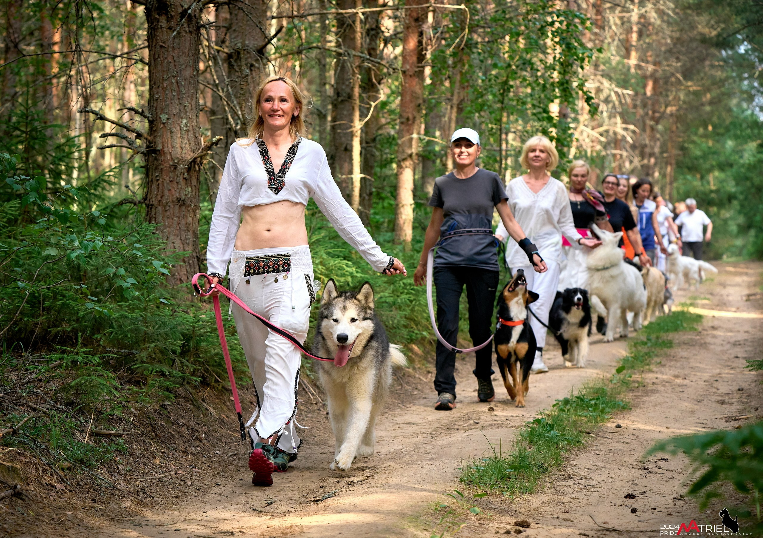 Репортаж из кинологического лагеря