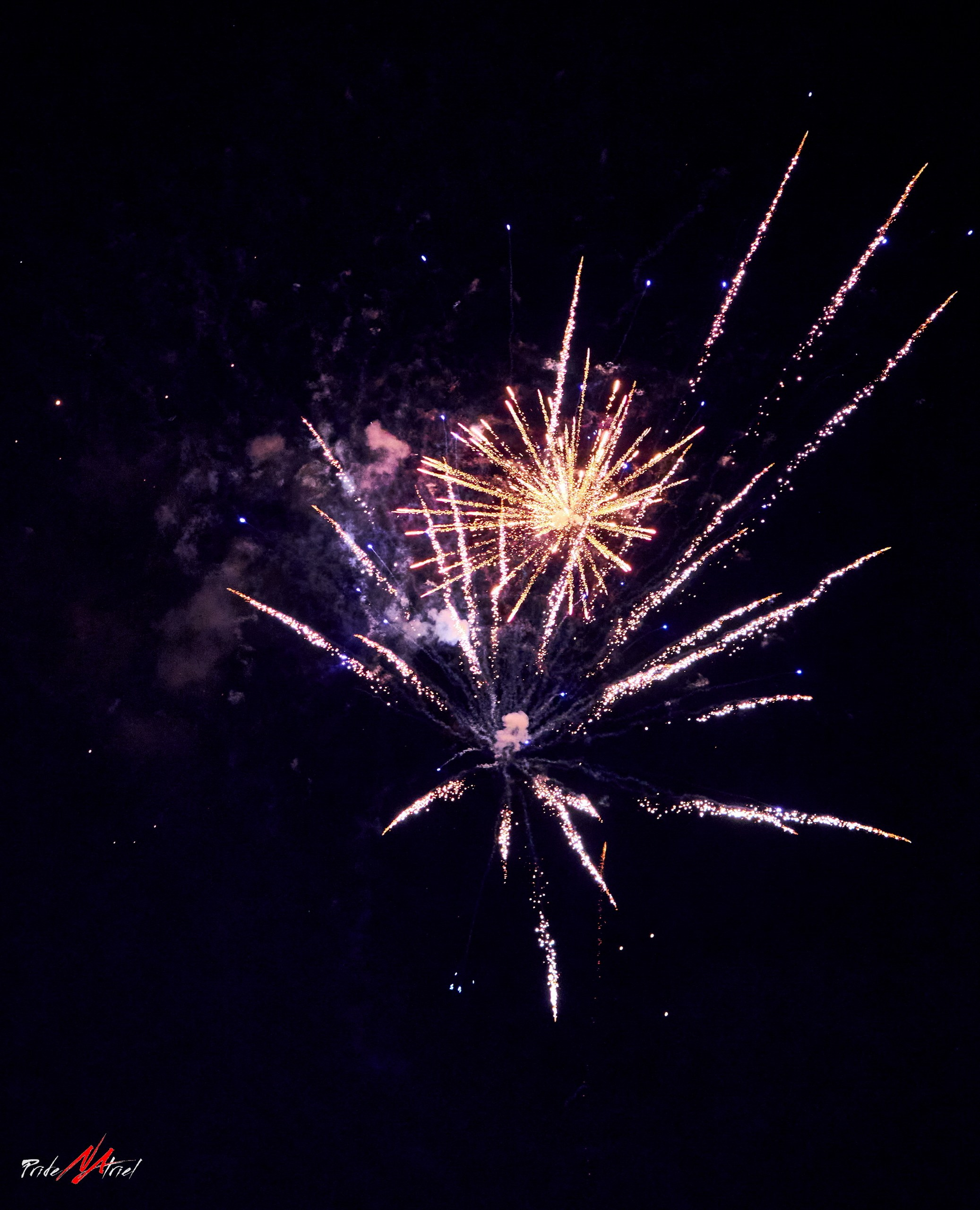 Огонь, Ветер, Вода, Земля — галерея NATRIEL