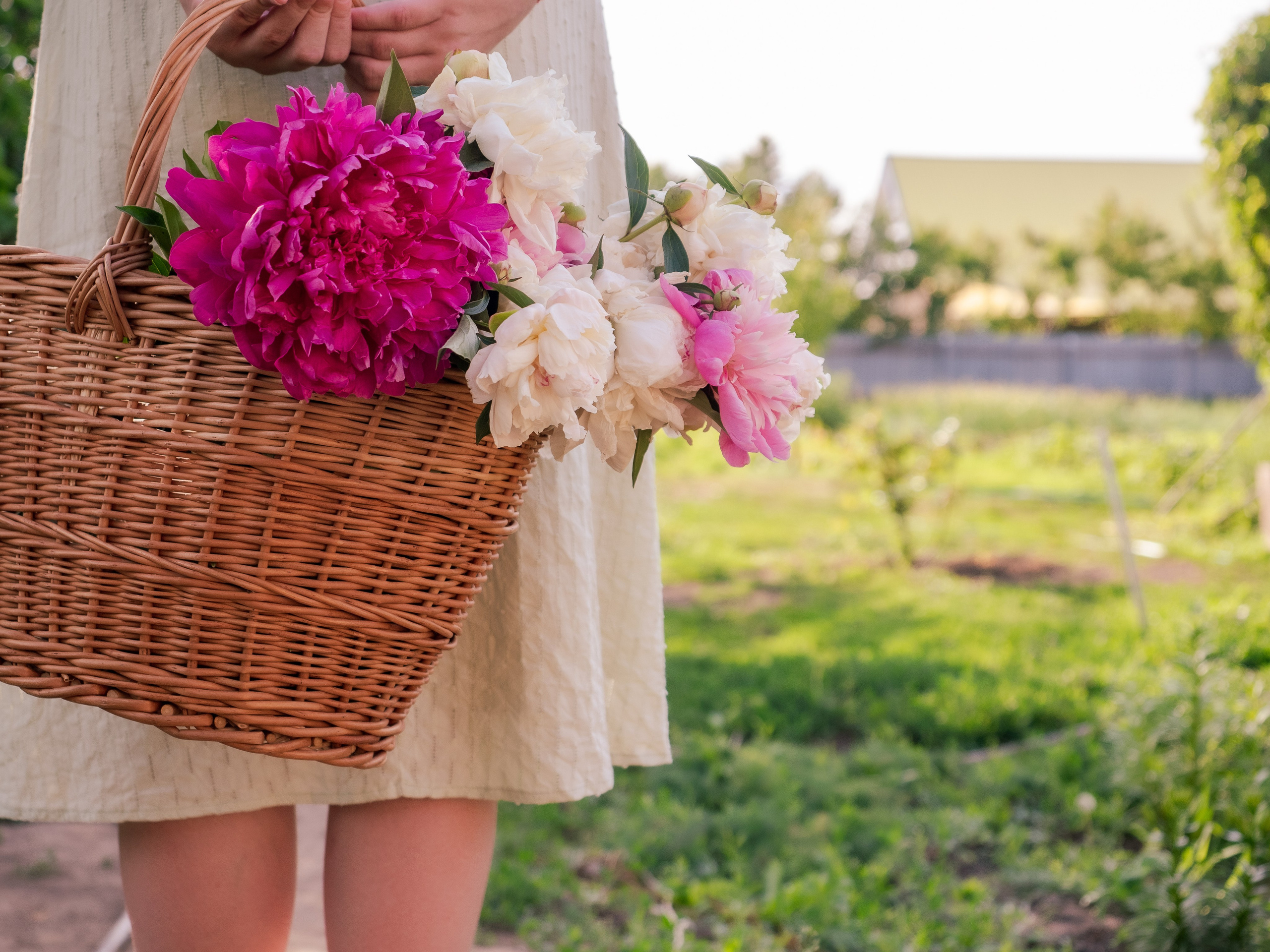 Индивидуальная съёмка. Семейный фотограф в Марксе Светлана Шибаршина