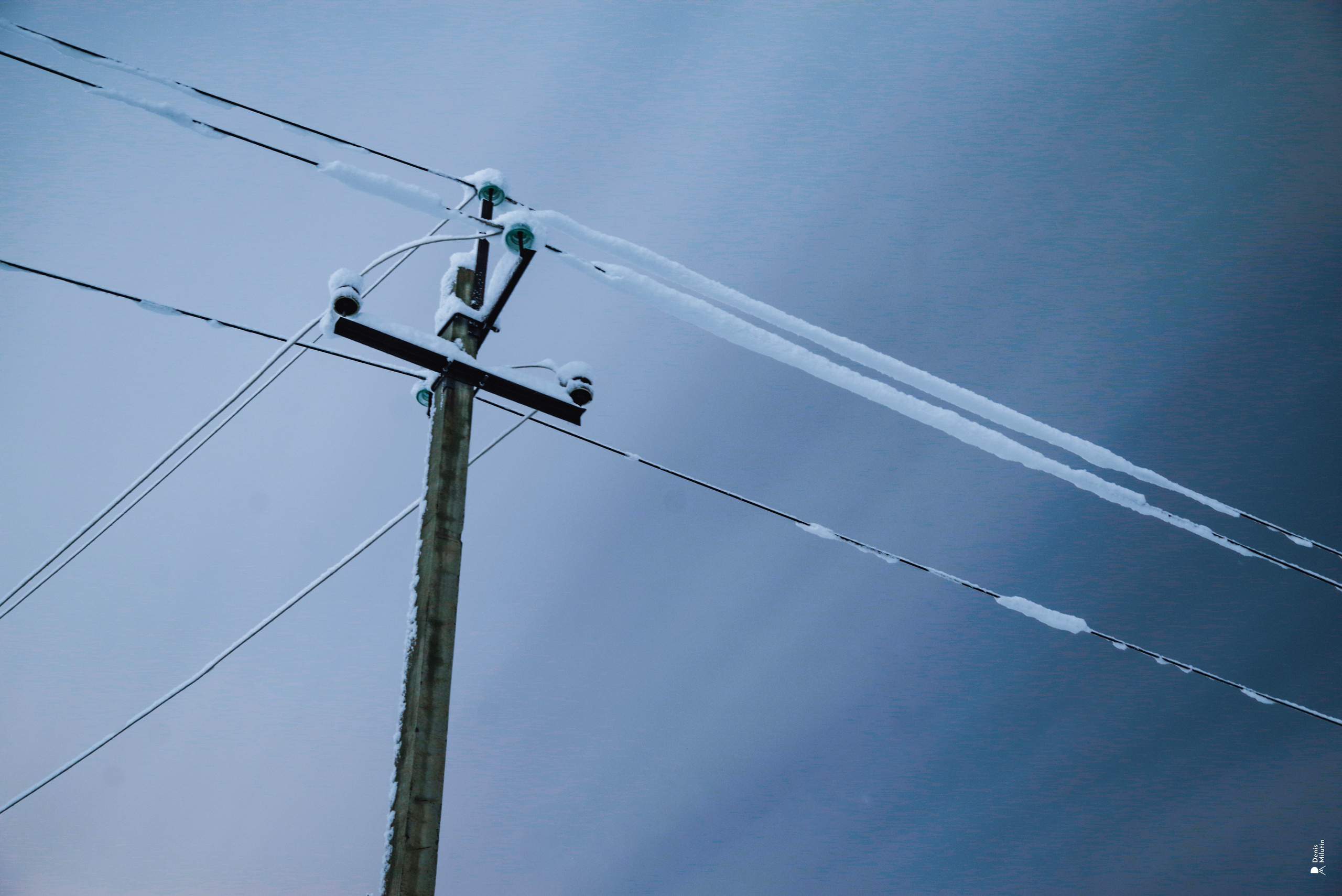 Спящий Менджи зимой. Портретный фотограф Денис Милютин