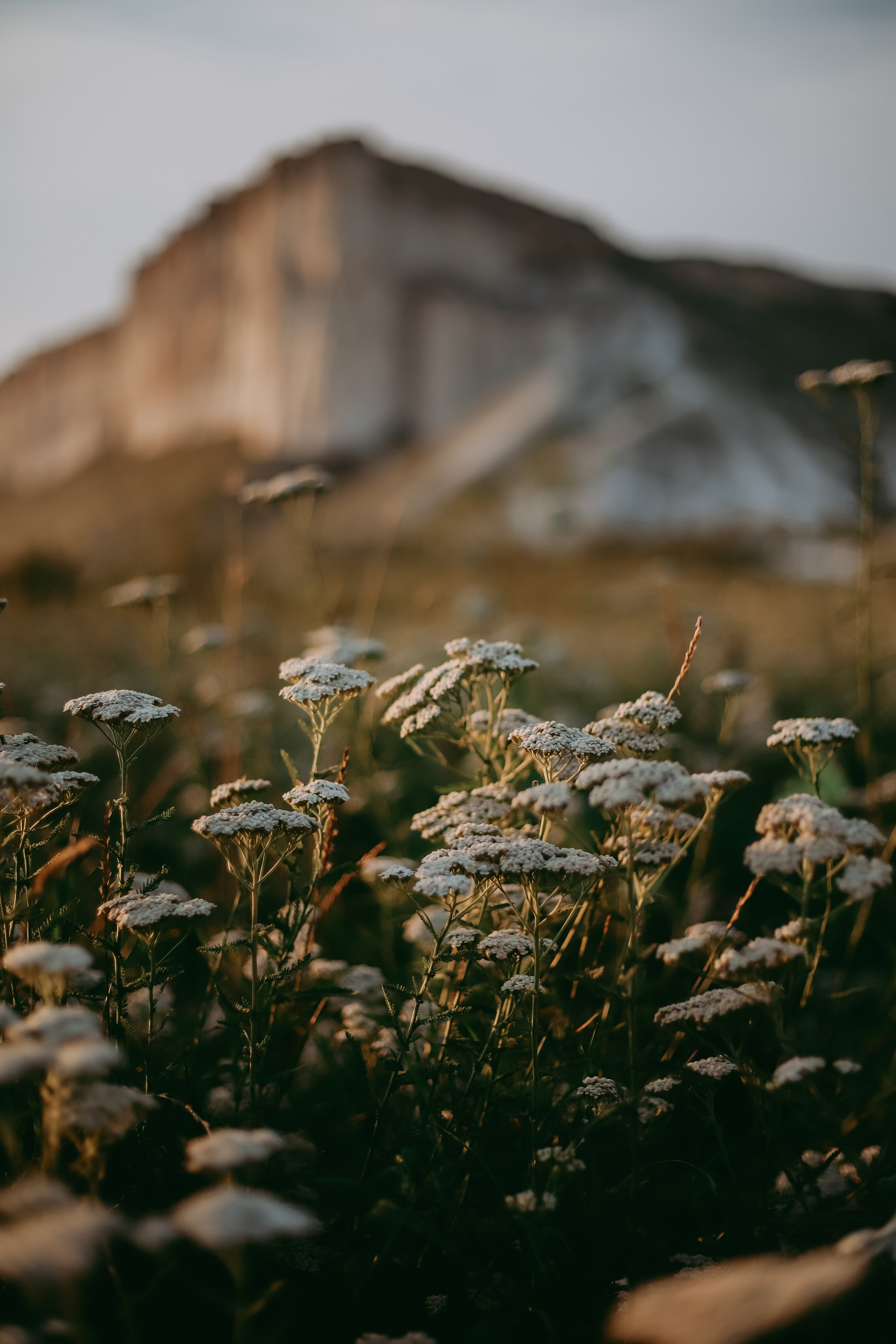 Отзывы. Photo by Tolmacheva | Crimea