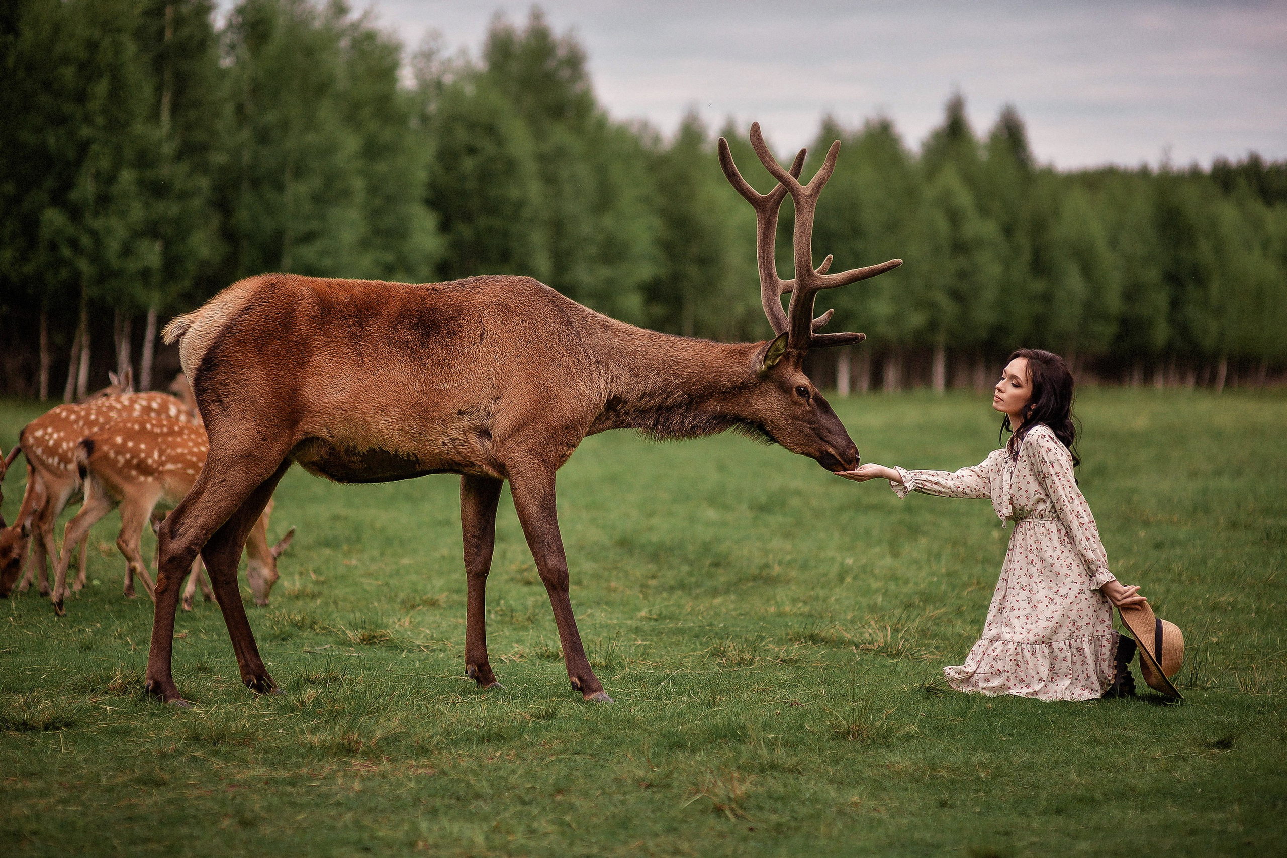 Индивидуальная. Свадебный Фотограф в Твери Анастасия Булкина
