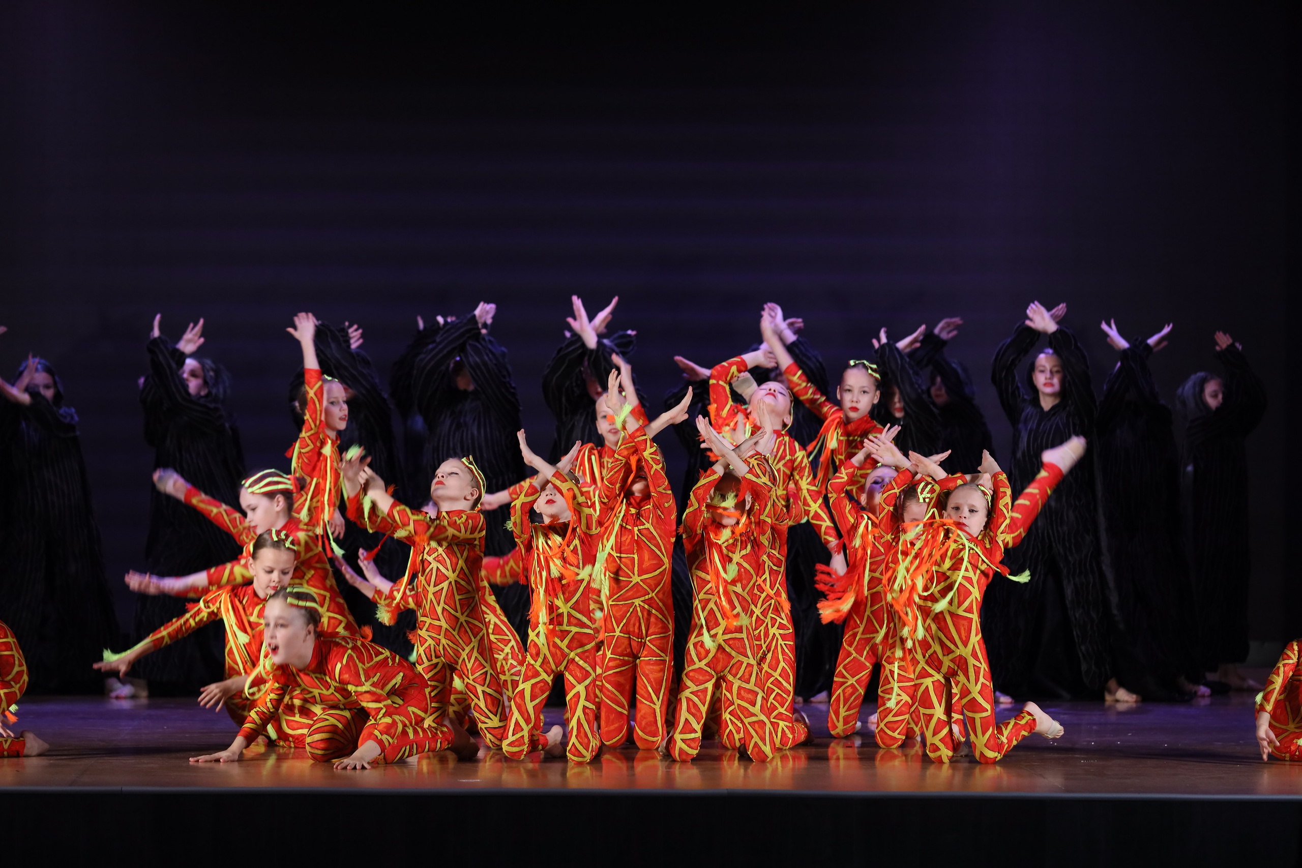 4 ноября, блок 1, видео, номера 49-58, г. Краснодар. Золотое яблочко