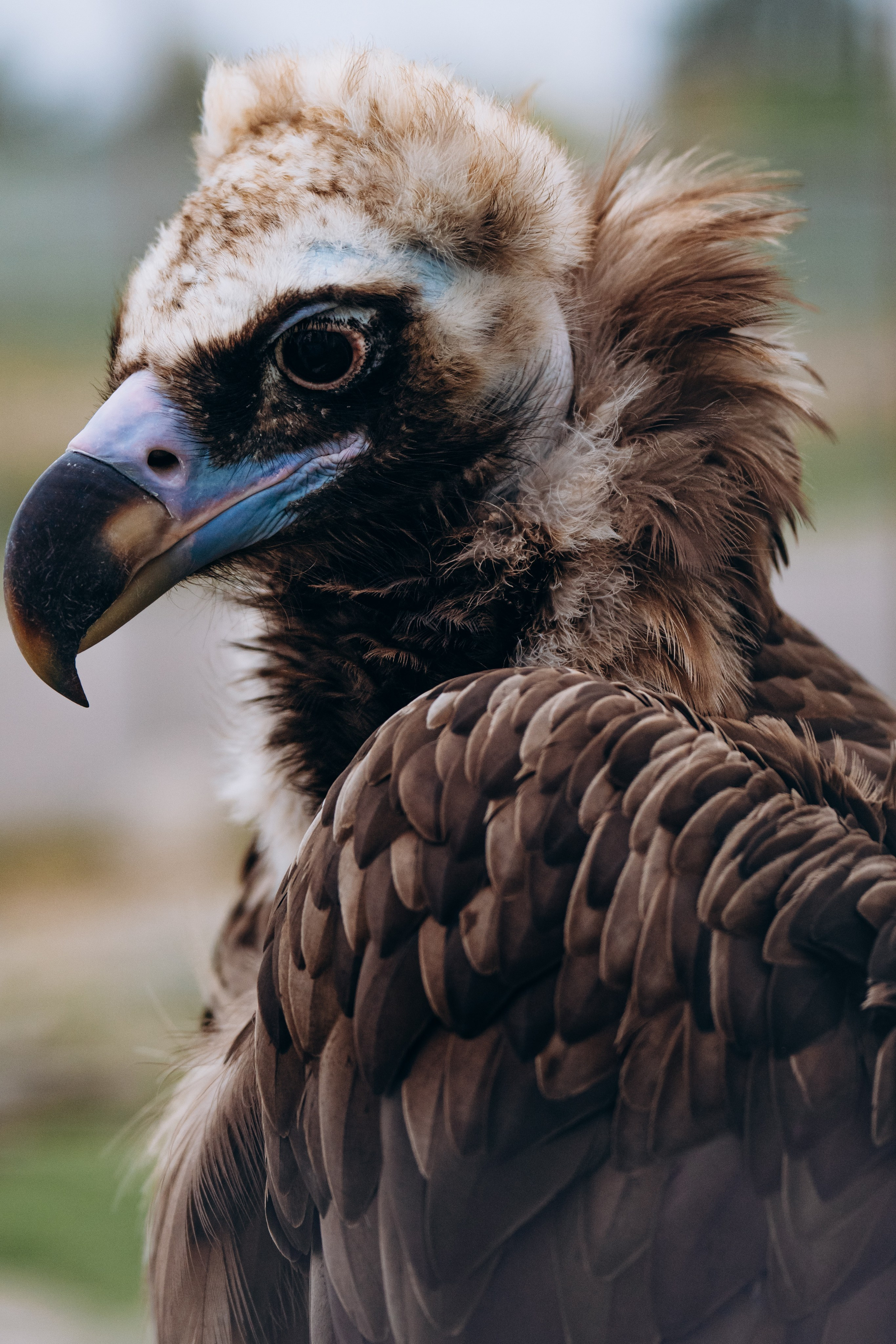 СЕВЕР. Event фотограф Степанова Александра