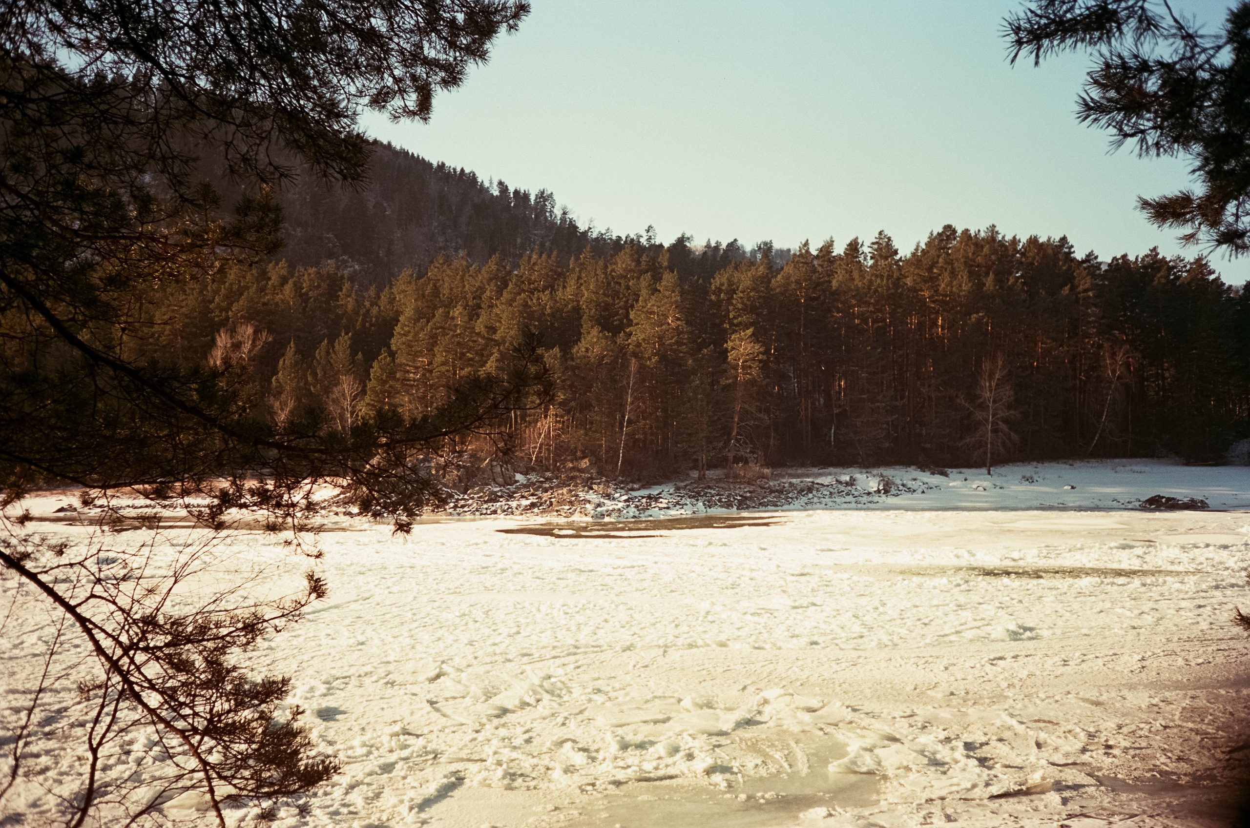 Кызыл-Таш и Семинская поляна. Катунь, пляж, мостки и сосны. Фотограф-документалист Мария Осокина