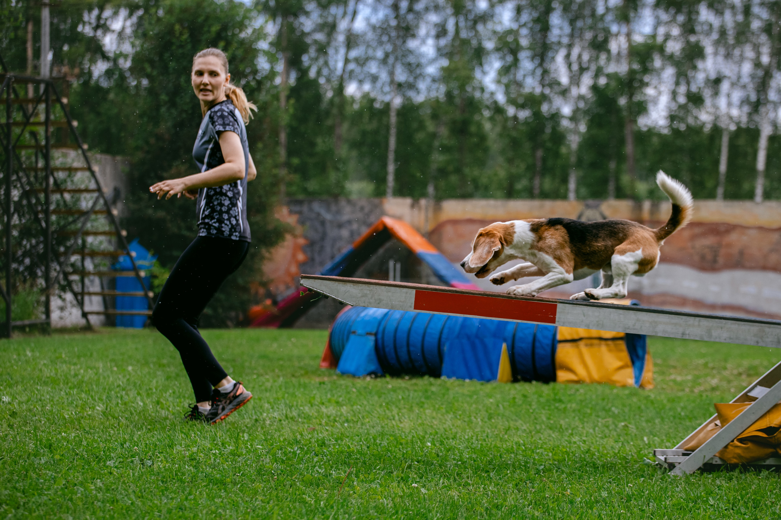 Соревнования по аджилити Долгопрудный 30.06.2025. Фотограф-анималист Татьяна Степанова