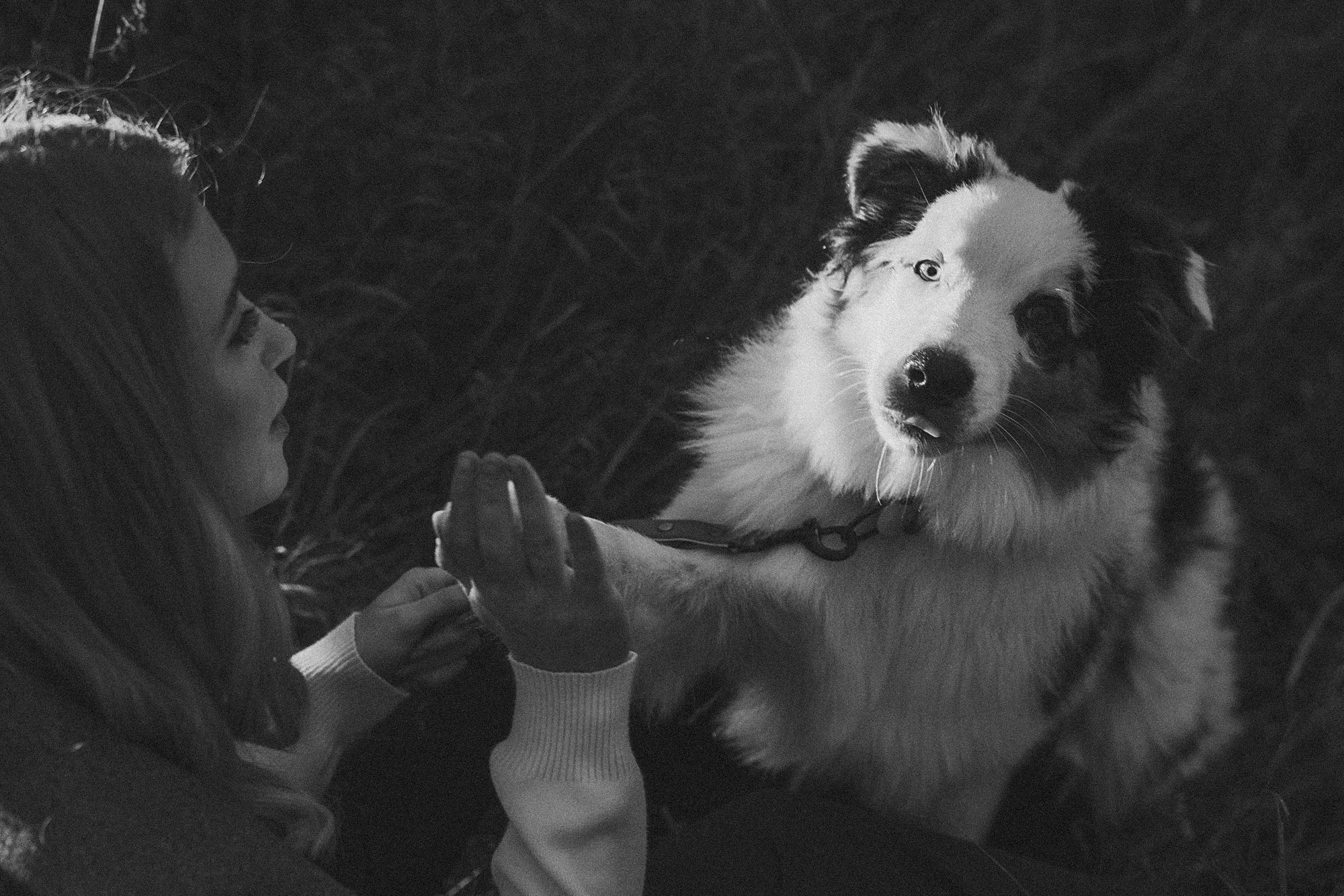 Лиза и Бублик. Фотограф анималист в Москве и Санкт-Петербурге Свиридова Анна