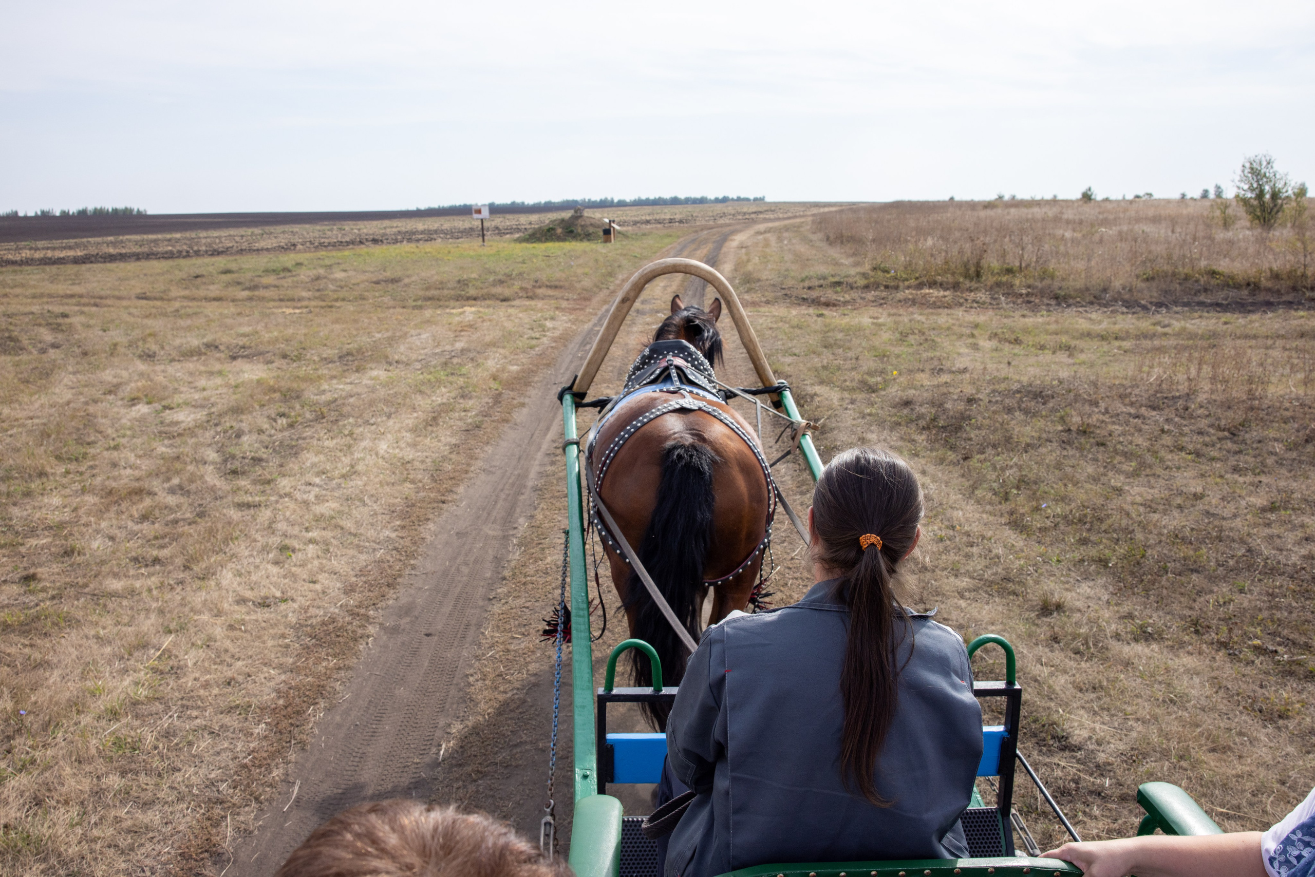 Поездка на поле Кулеково. Фотограф в Туле Крупский АнДРей. Фотостудия «КАДР71» в Туле