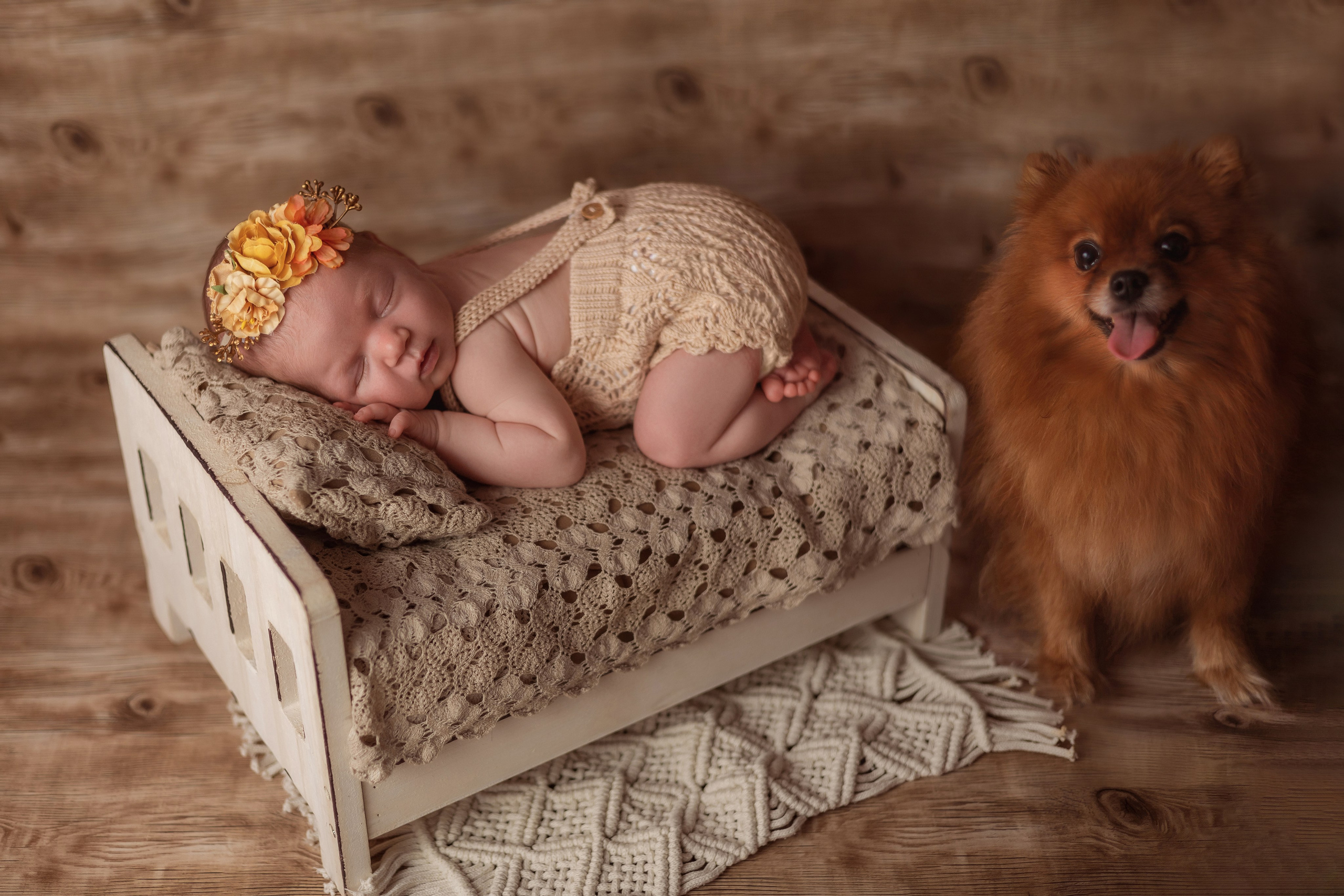 Только малыш. Фотограф новорожденных Саратов