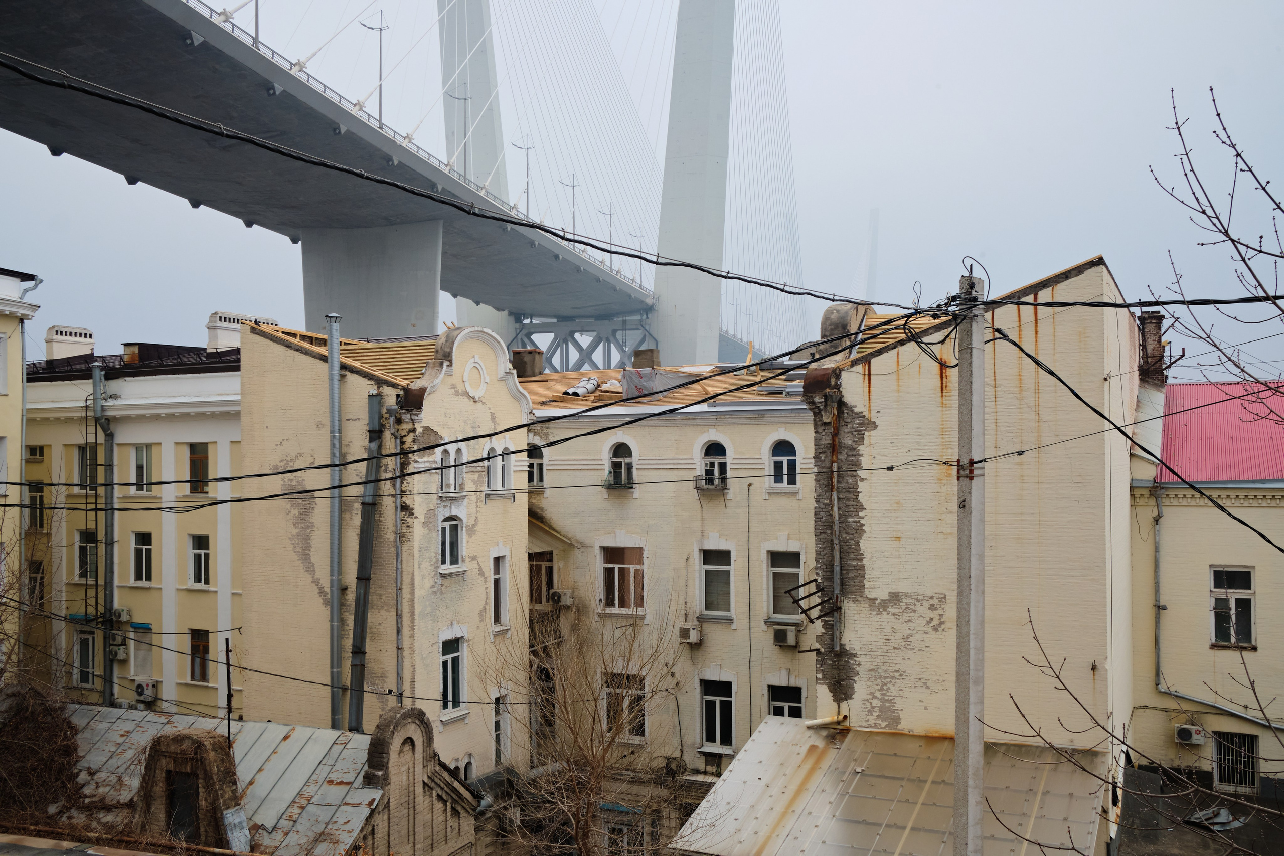 Социальный пейзаж. Документальный фотограф