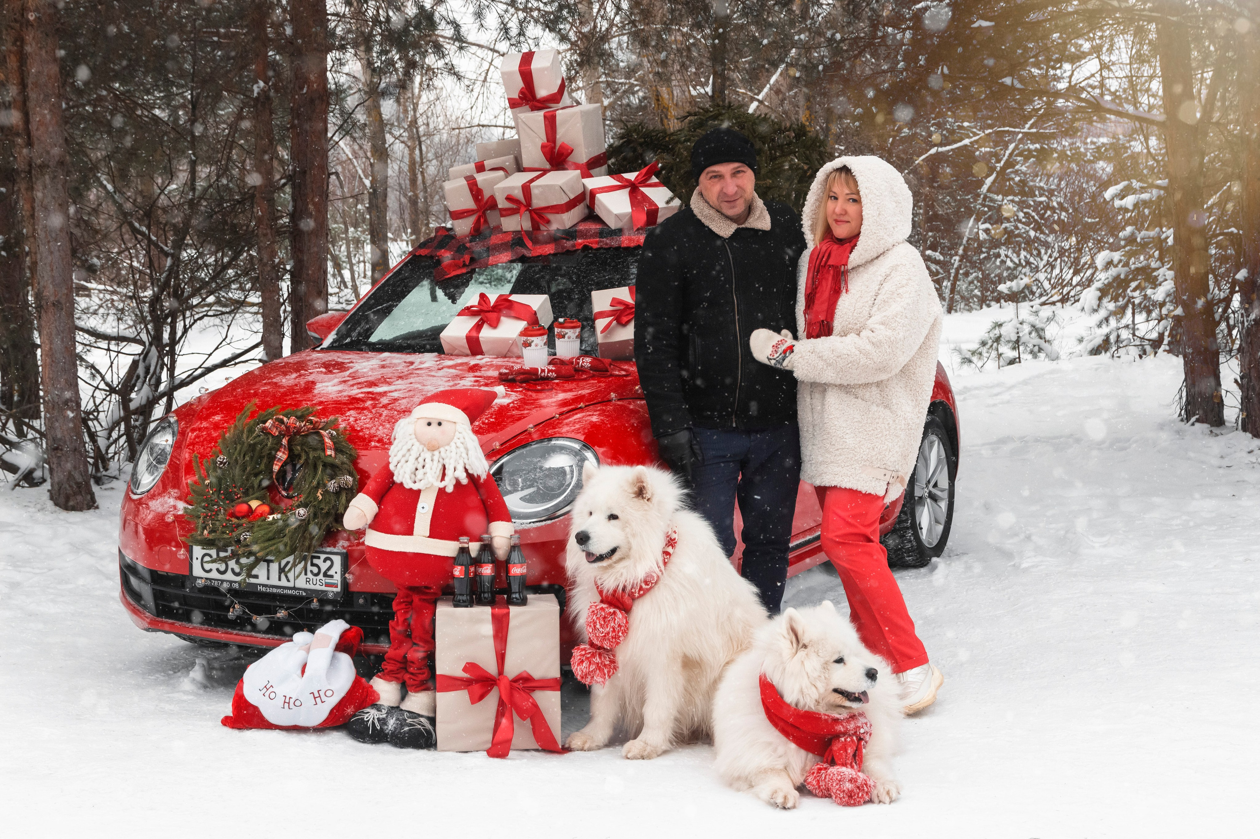 Новогодний красный жук. Фотограф Ольга Бобб Нижний Новгород