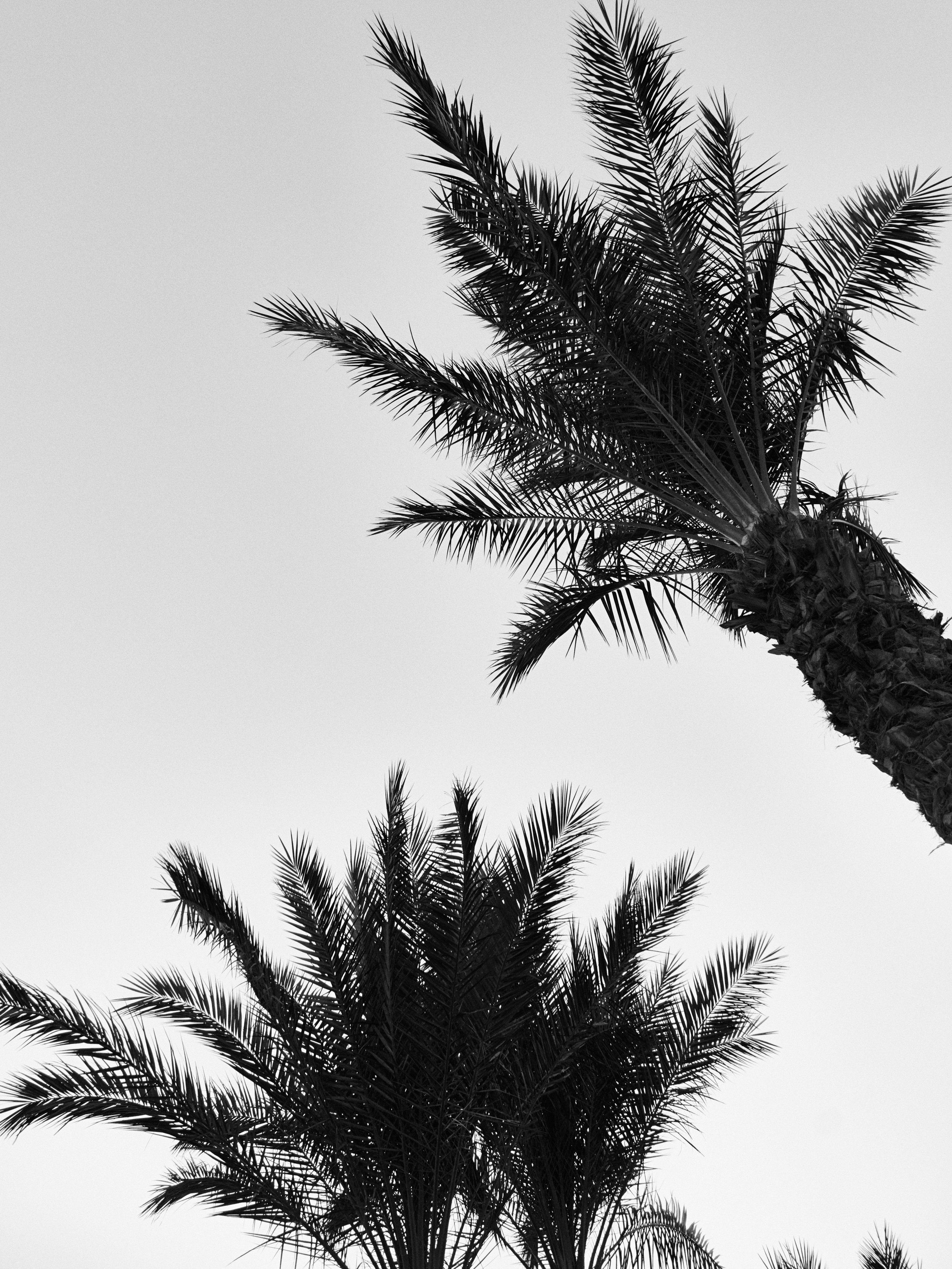 Другое 3. Jorgis — фотограф в Хургаде / обучение фотографии