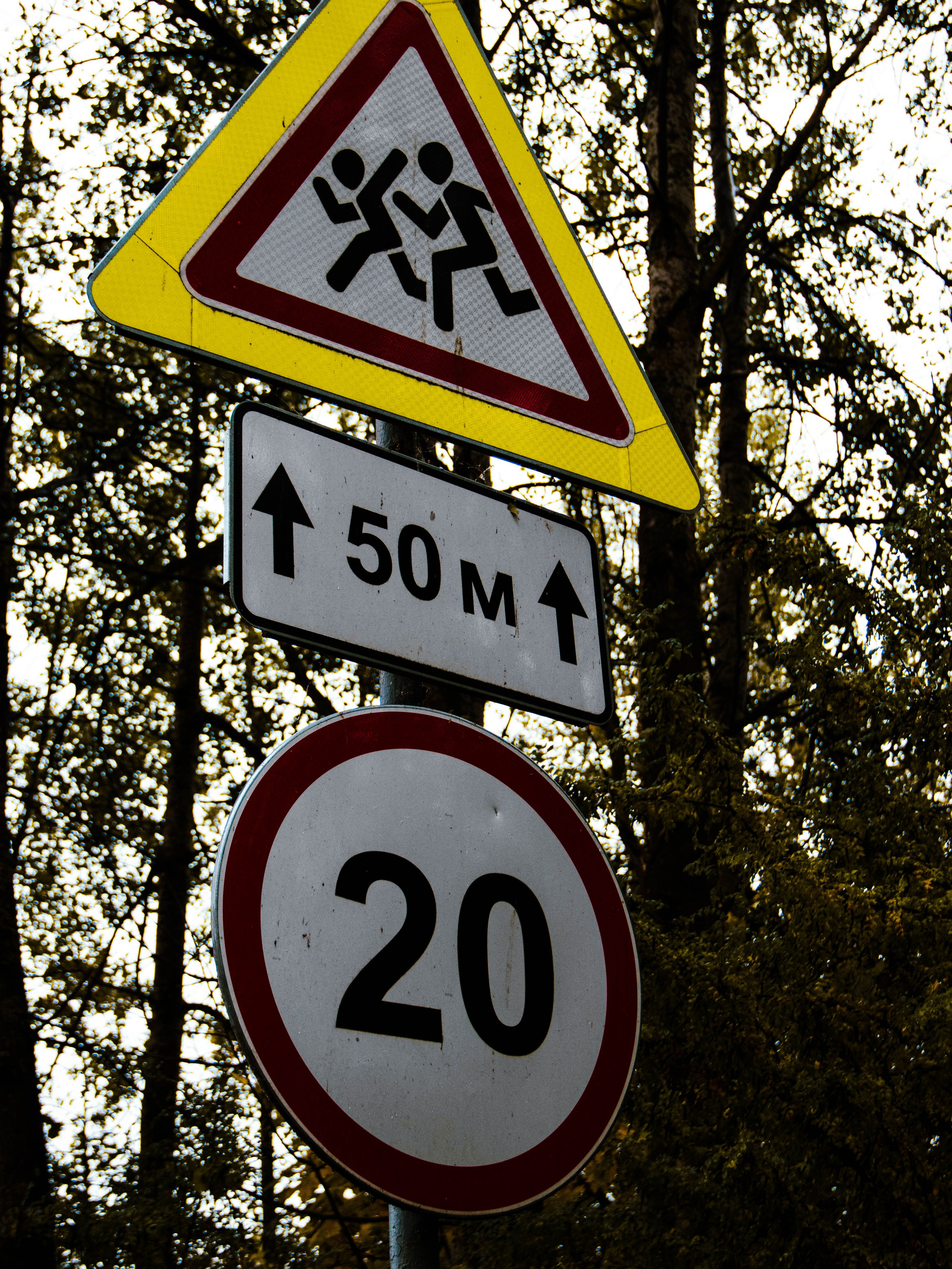 Село Петрилово (28.09.24). «Матрица»