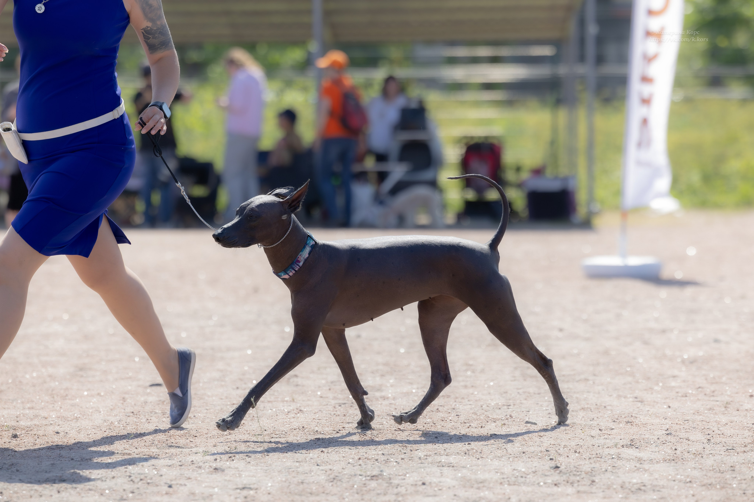Выставки. Главная