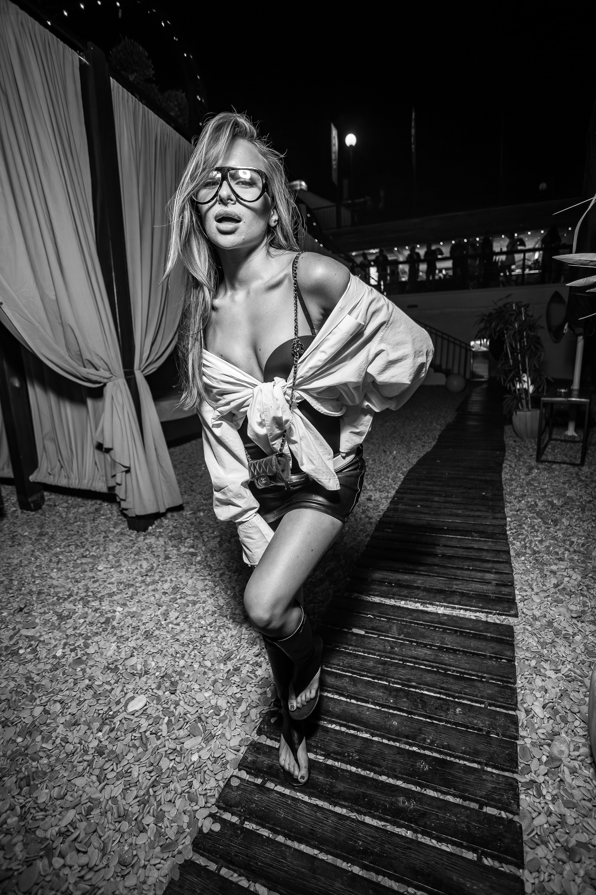 «Митя Фомин"_Чайка на пляже_Ялта_28.06.2025 г. Аминов Руслан | Фотограф