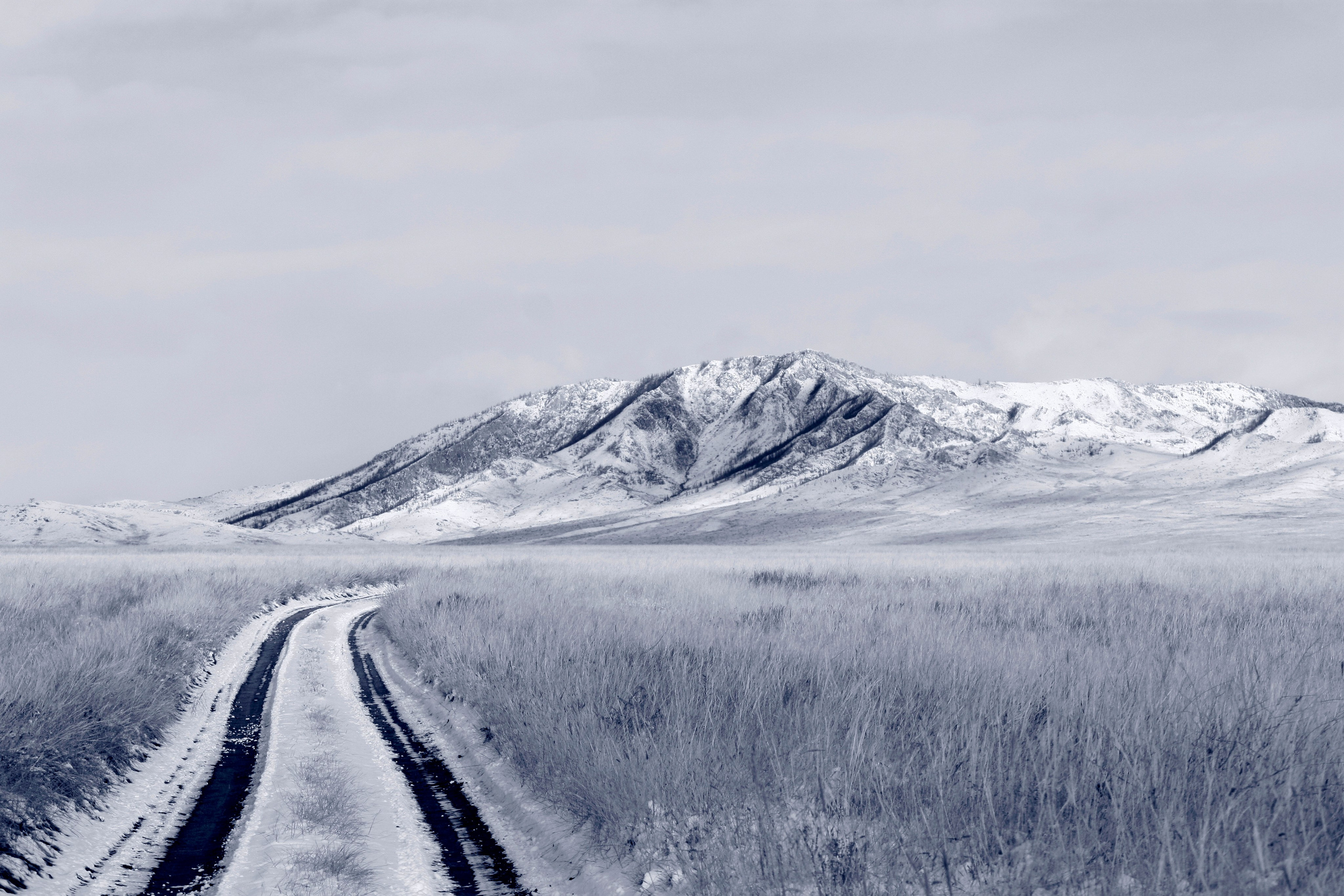 Тыва. ZAGLADIN Bureau