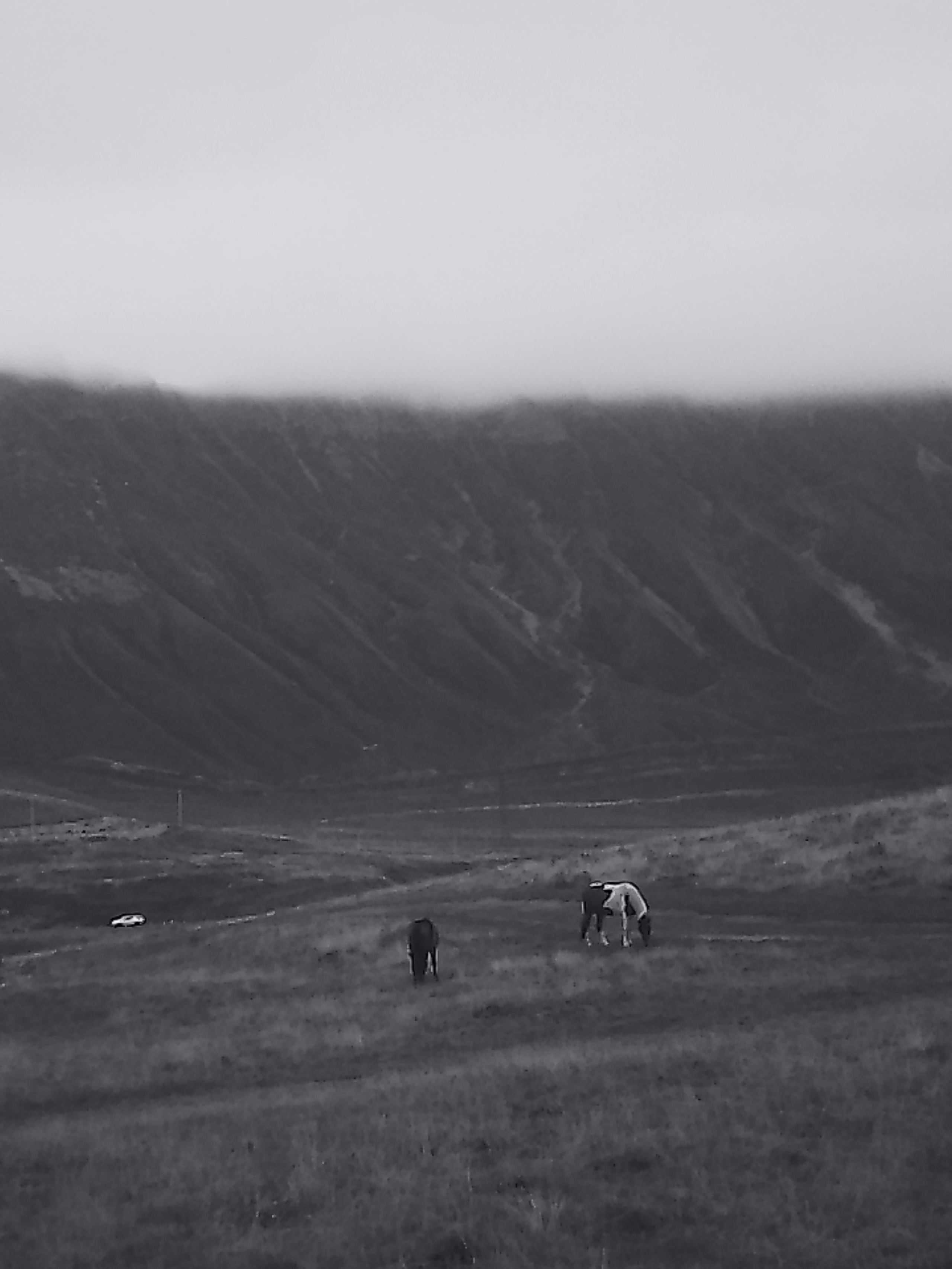 «Крошка 🐣». Anita_photo