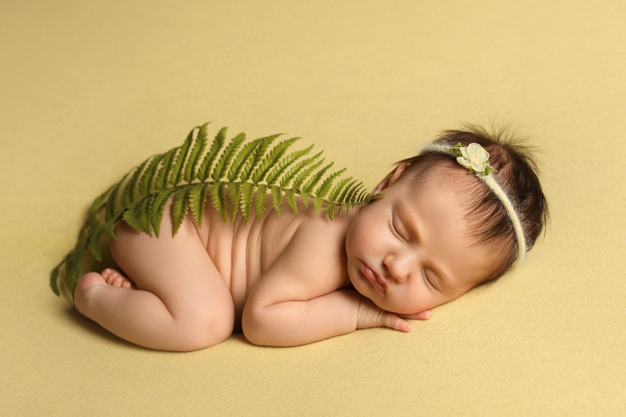 фотосессии новорожденных великий новгород