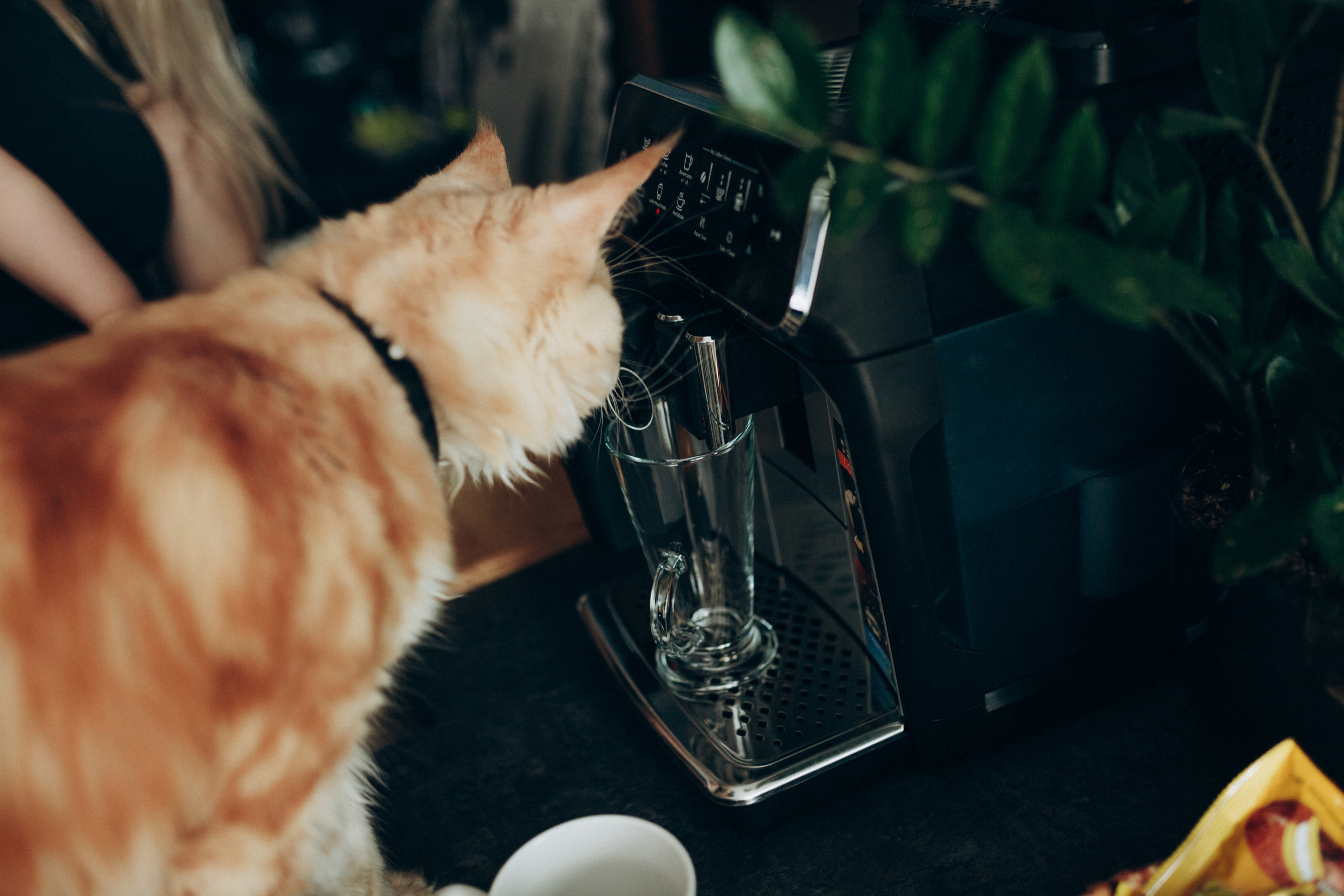 Домашняя история Лены. Семейный и свадебный фотограф Брянск, Москва Ольга Ли