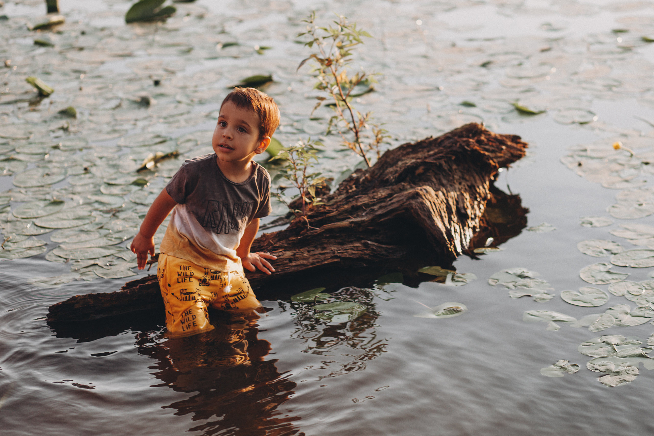 Прогулка Евгения. Семейный и свадебный фотограф Брянск, Москва Ольга Ли
