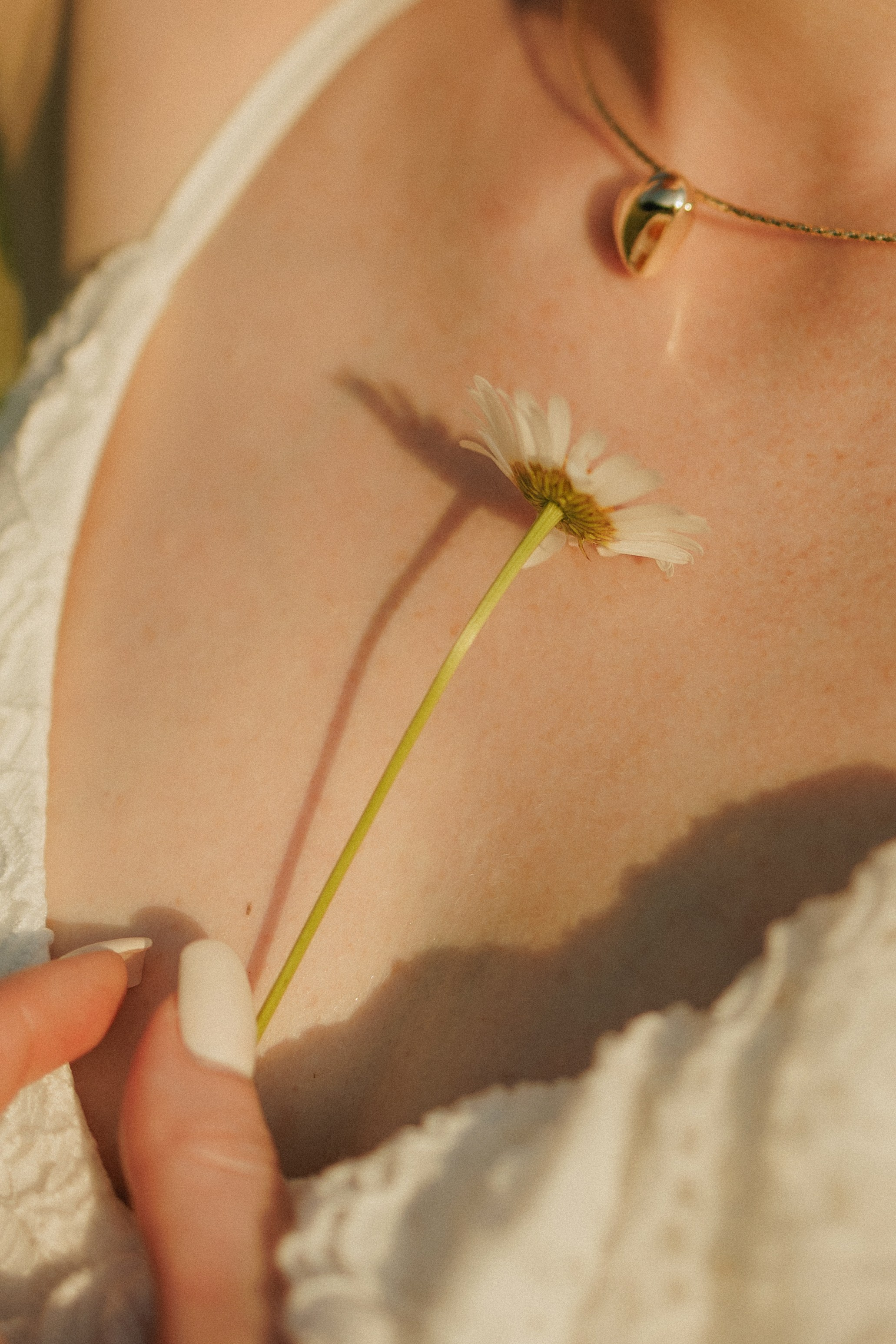 Привет, ромашки…. Свадебный, репортажный и портретный фотограф Сочи, Краснодар. Александра Зайцева