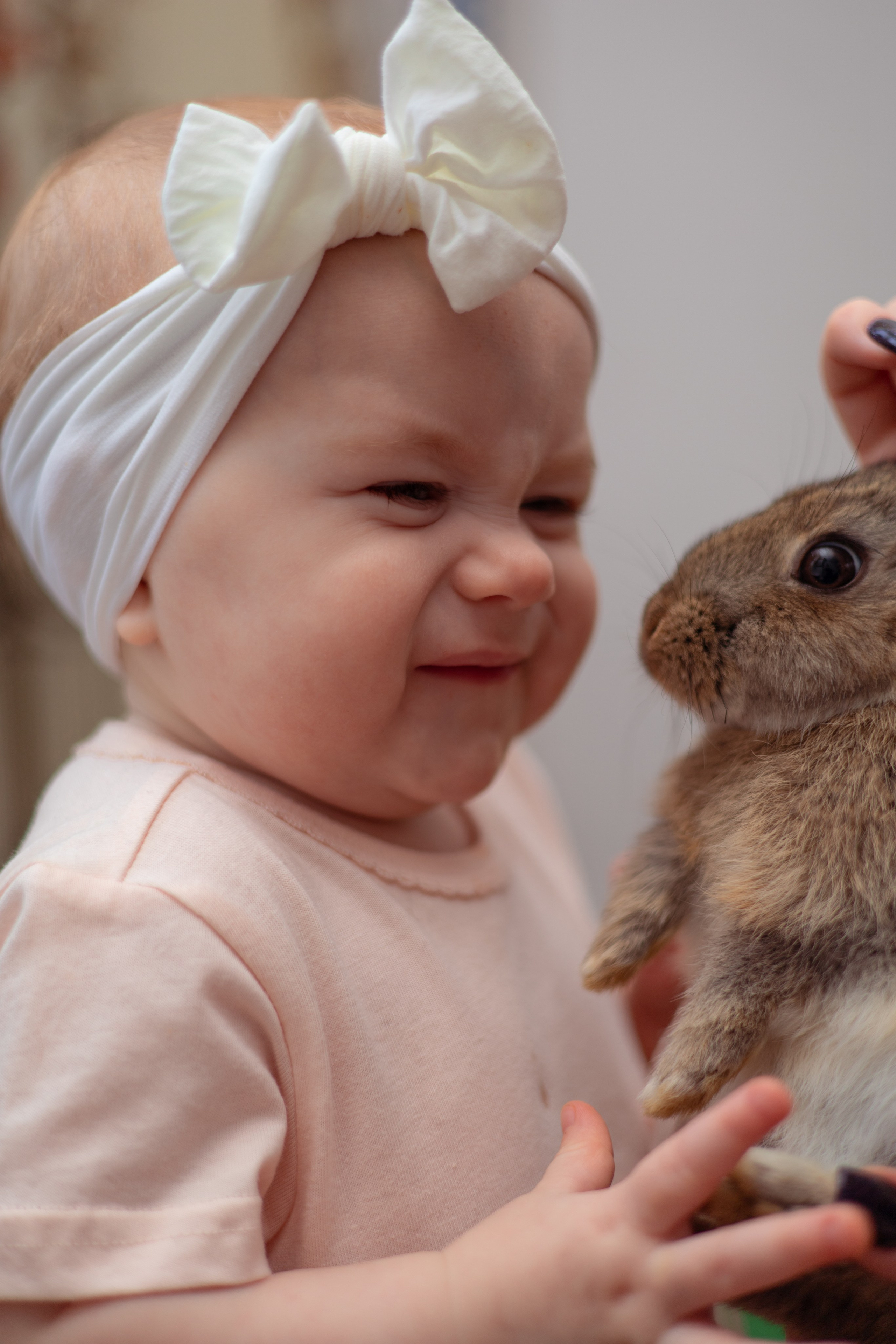 Злата кролики. Семейный и детский фотограф в Михайловке Татьяна Лестьева