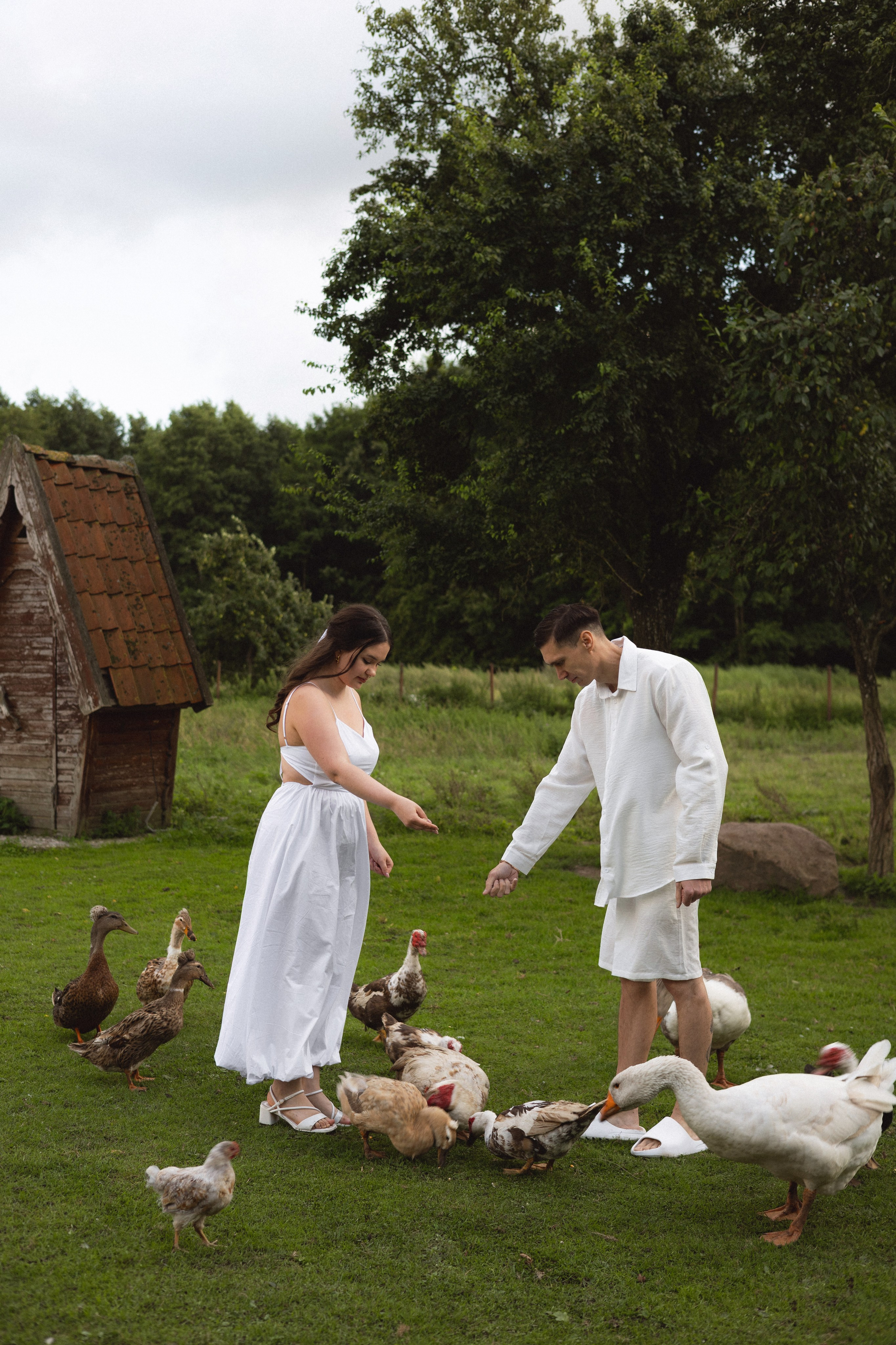 Алина & Сергей | ферма. Фотограф в Калининграде Сокирко Светлана