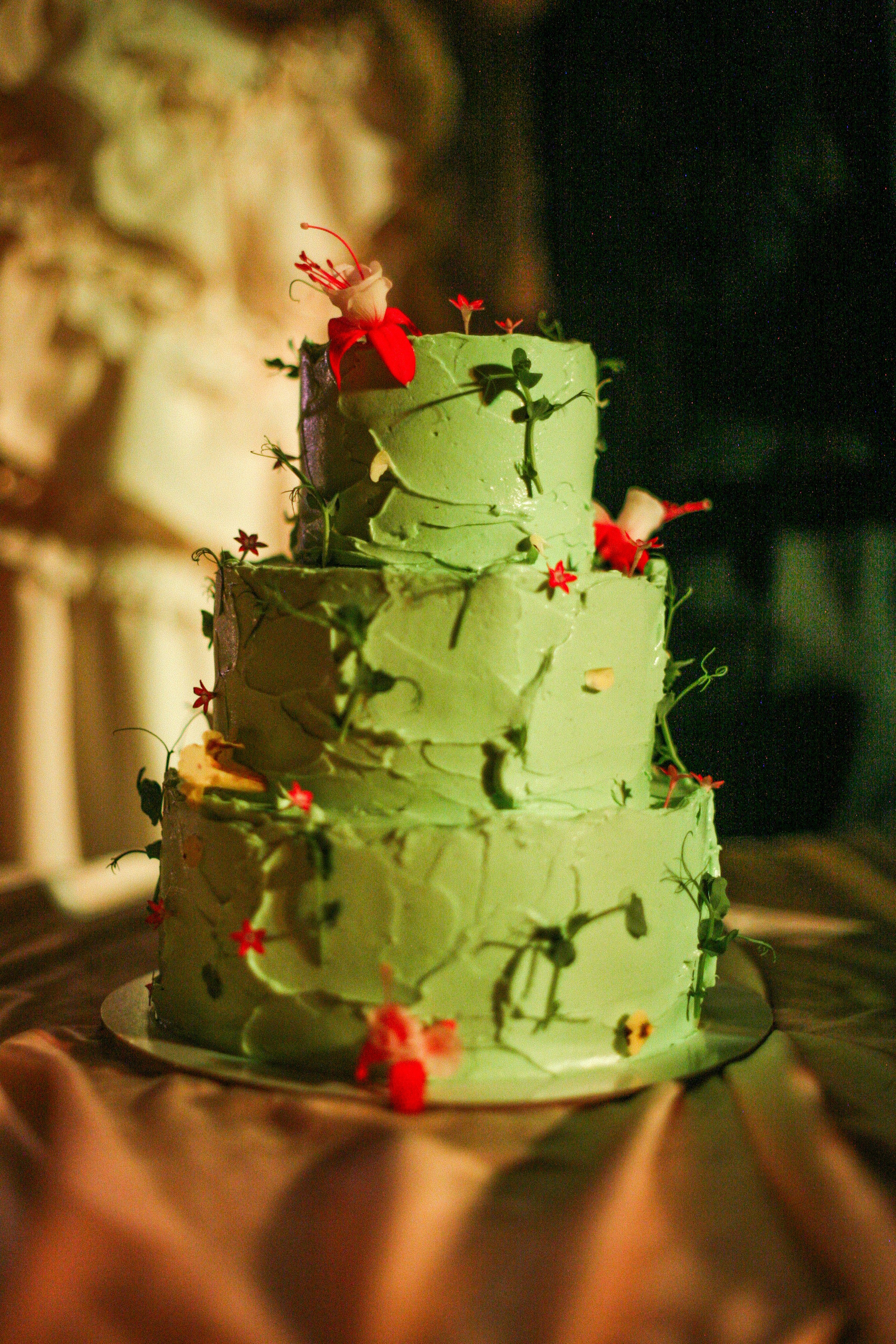 Аня и Кирилл (полный день с росписью). Фотограф Екатерина Максимова: семейные, индивидуальные съемки, свадьбы